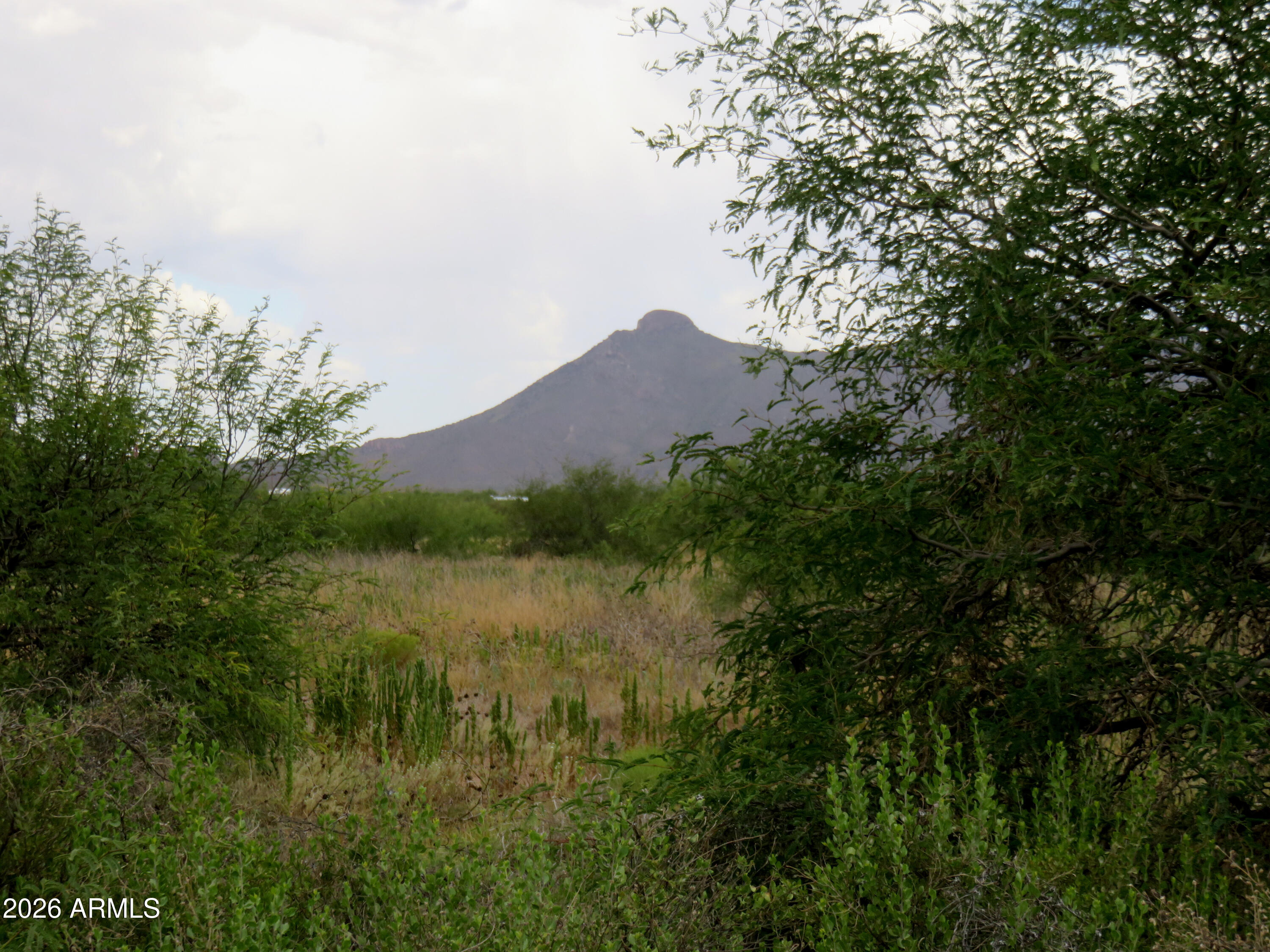Some of that Affordable RU-4 property located out side of Douglas that is perfect for using the Opt-Out Permit to start your Homestead. This is some nice land with some mature Mesquite trees.  I can envision a Permaculture Food Forest on this property!