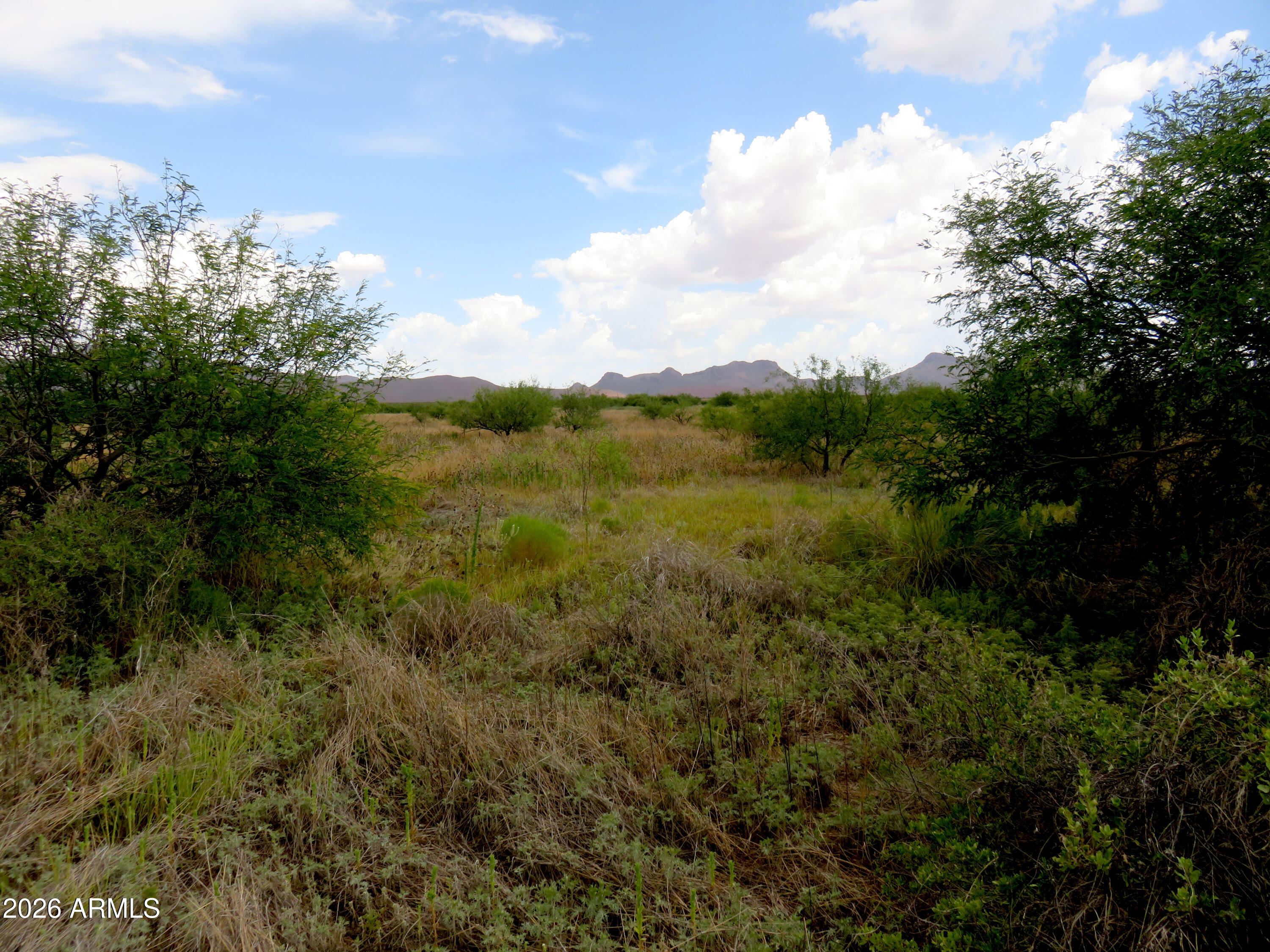 CORONADO DEVELOPMENT AMENDED - Land