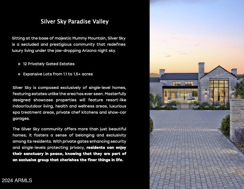 SILVER SKY - Land