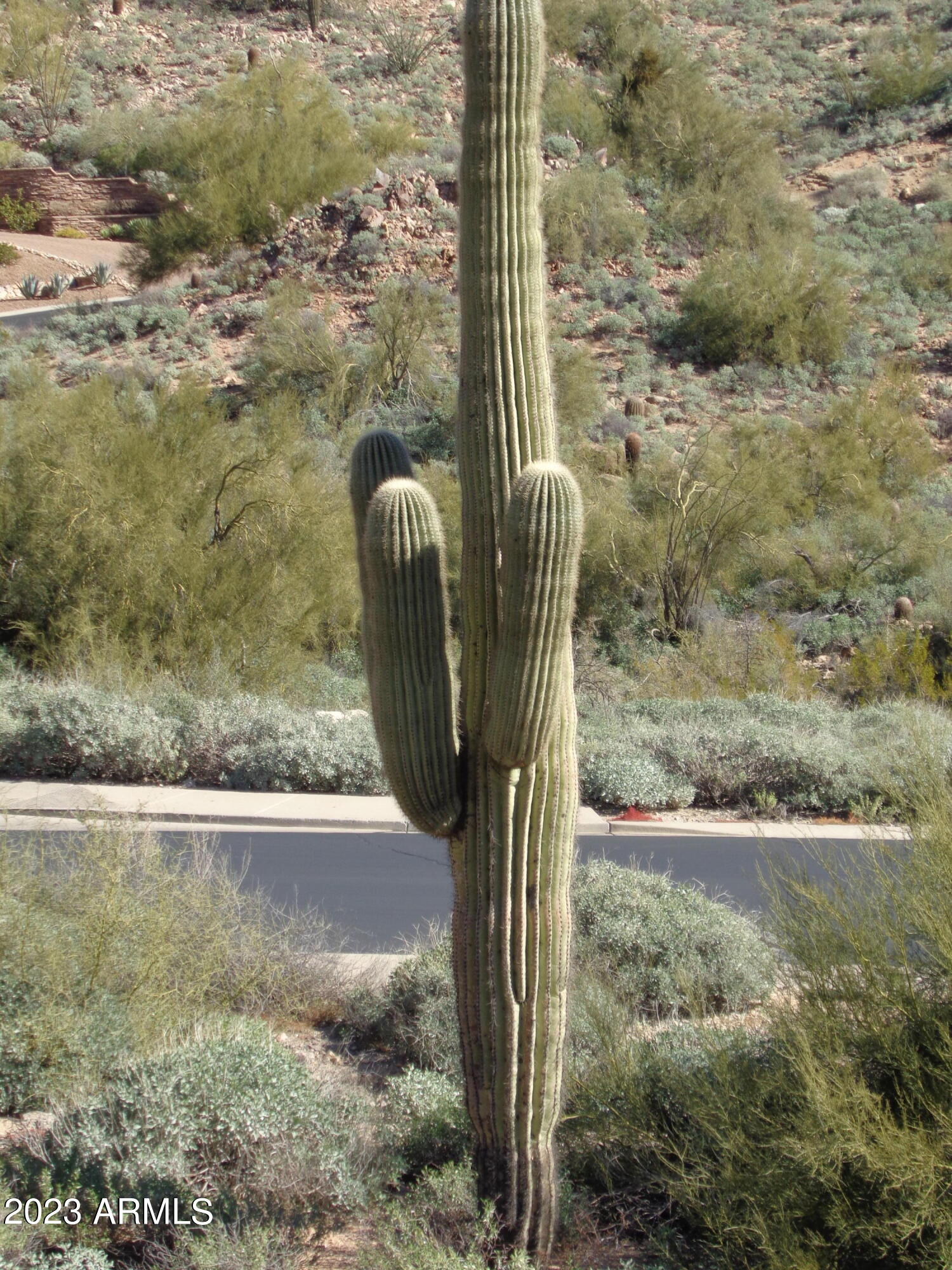 SHADOW CANYON lot 34 - Land