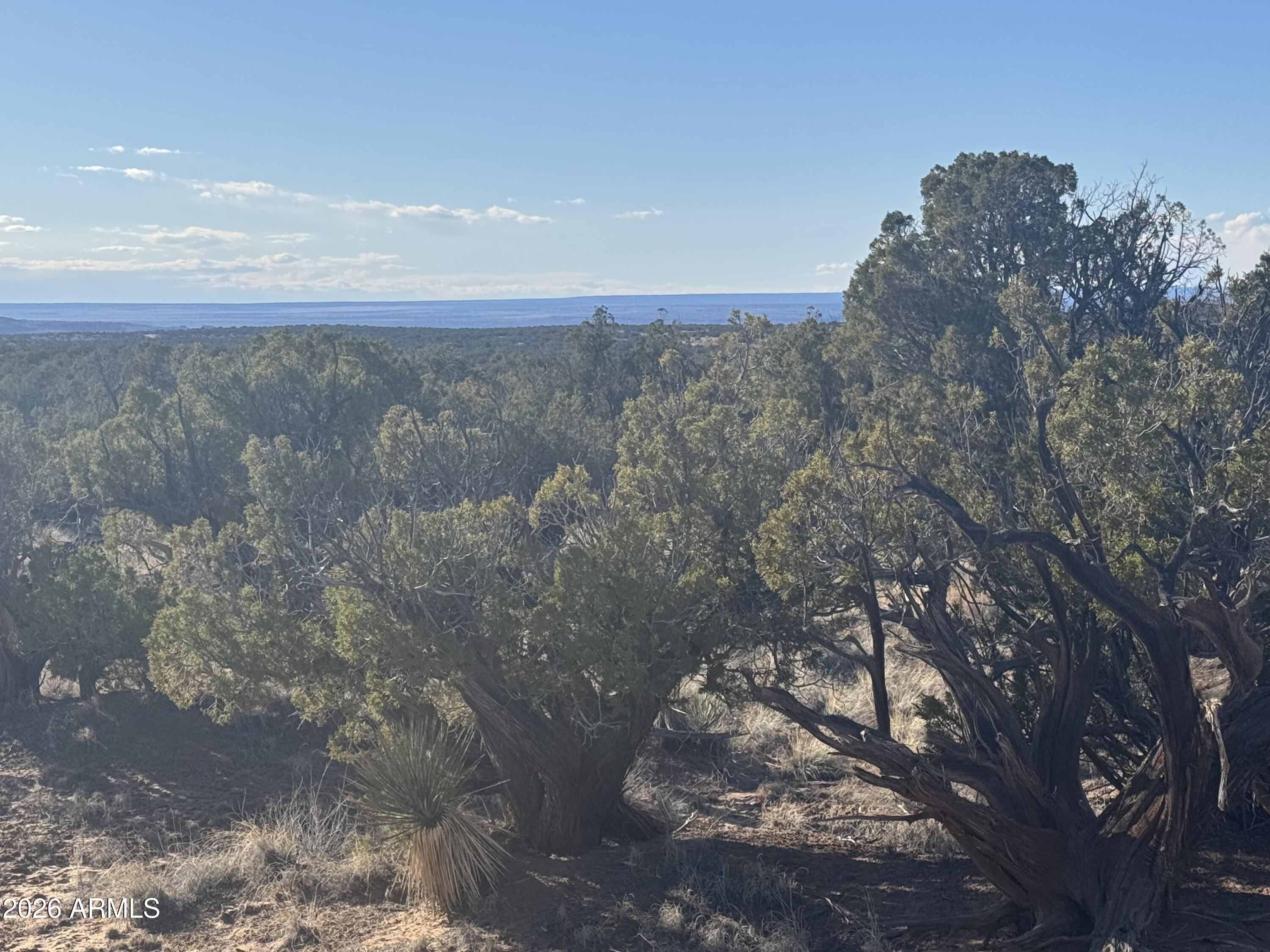 WOODLAND VALLEY RANCH UNIT 2 - Land