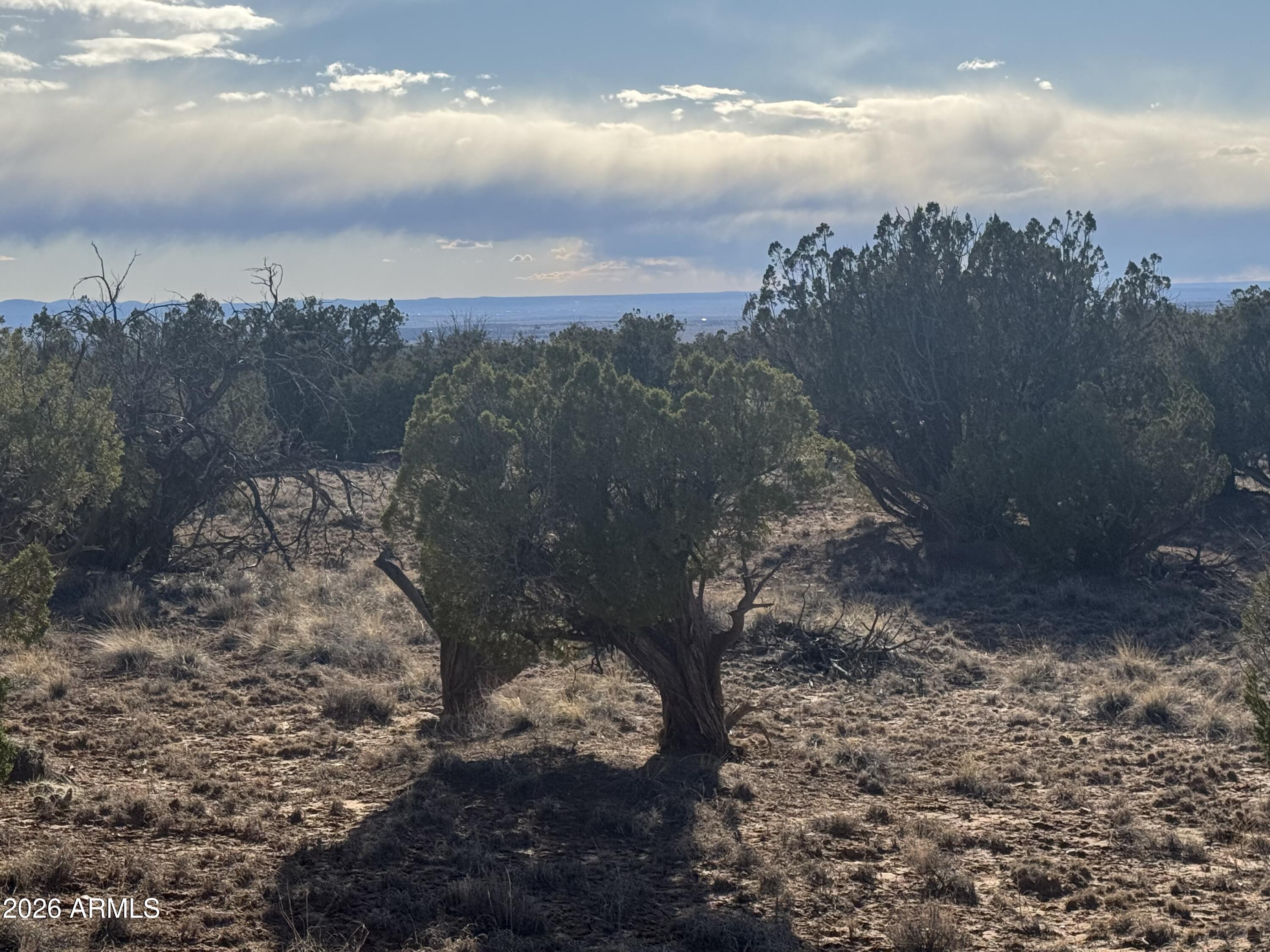 WOODLAND VALLEY RANCH UNIT 2 - Land