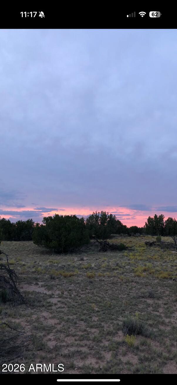 Sierra Mountain Ranch - Land