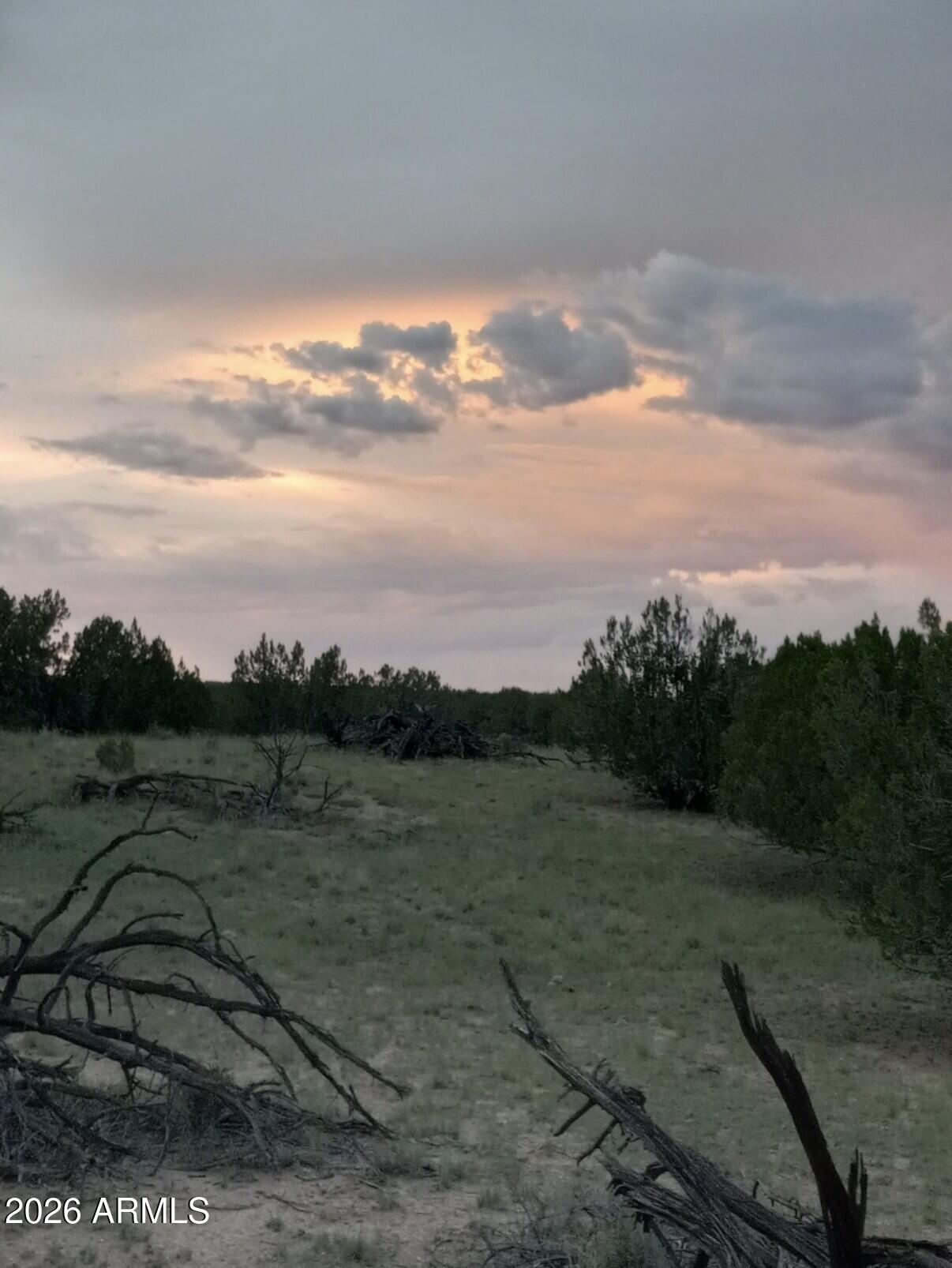 Sierra Mountain Ranch - Land