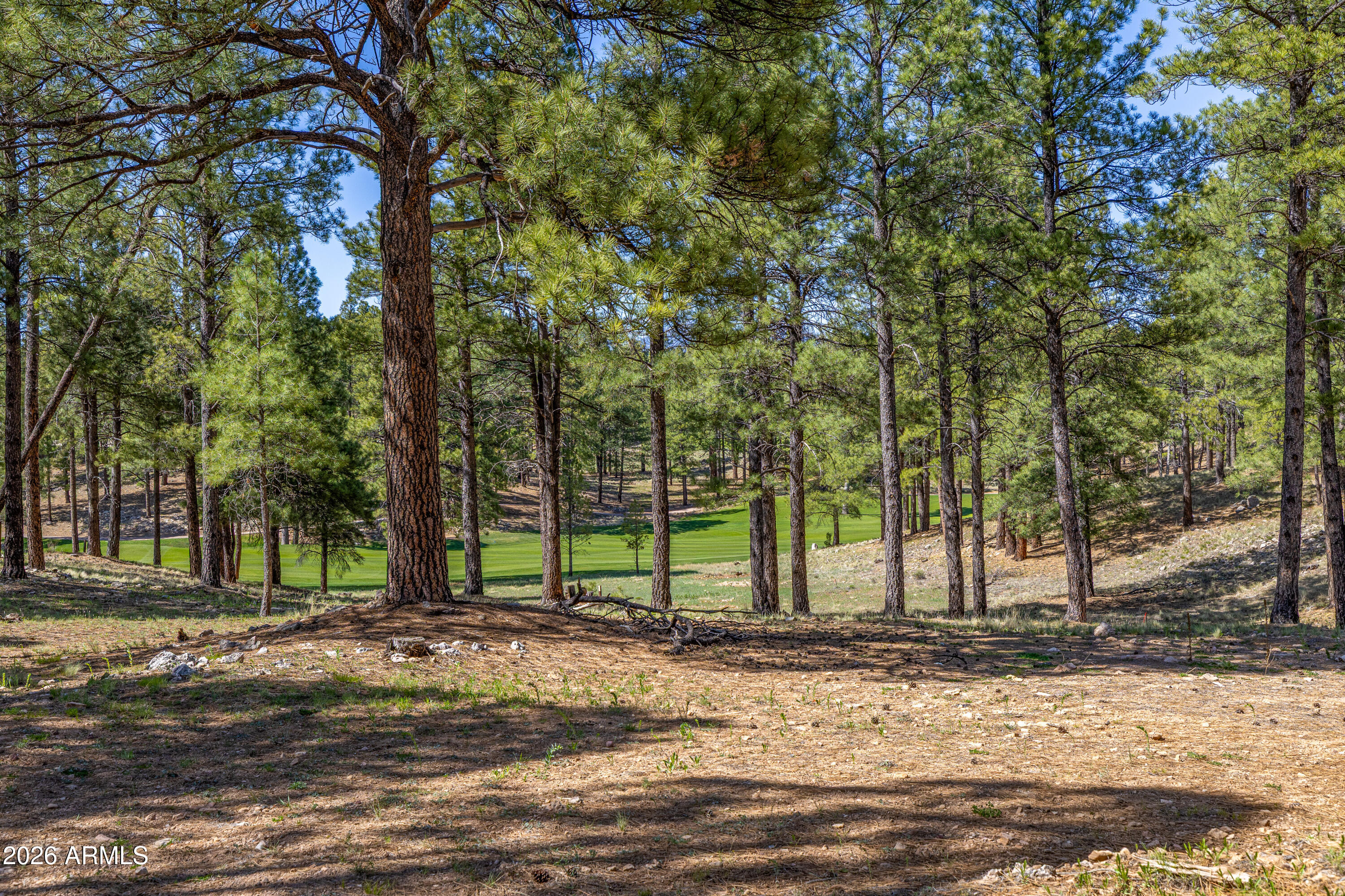 Pine Canyon - Land