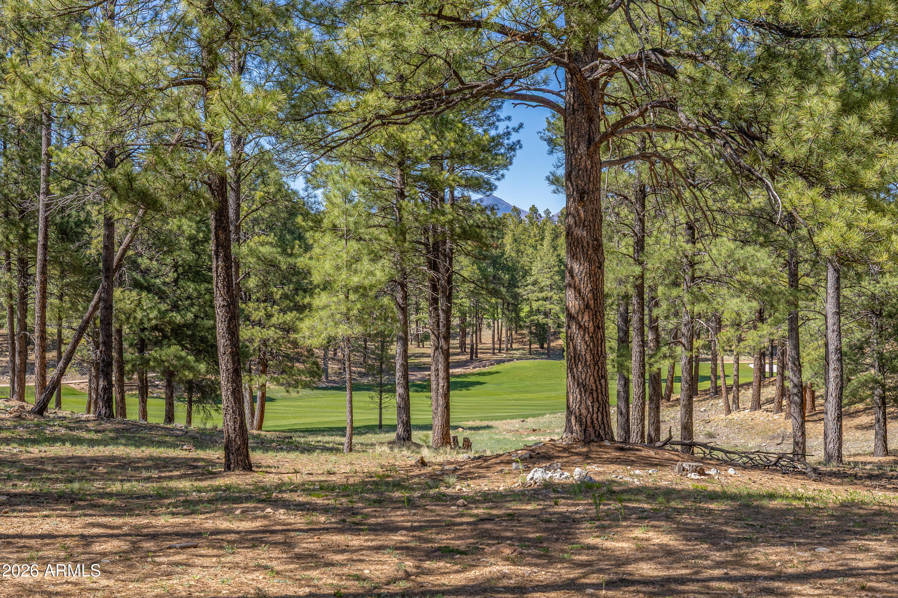 Pine Canyon - Land
