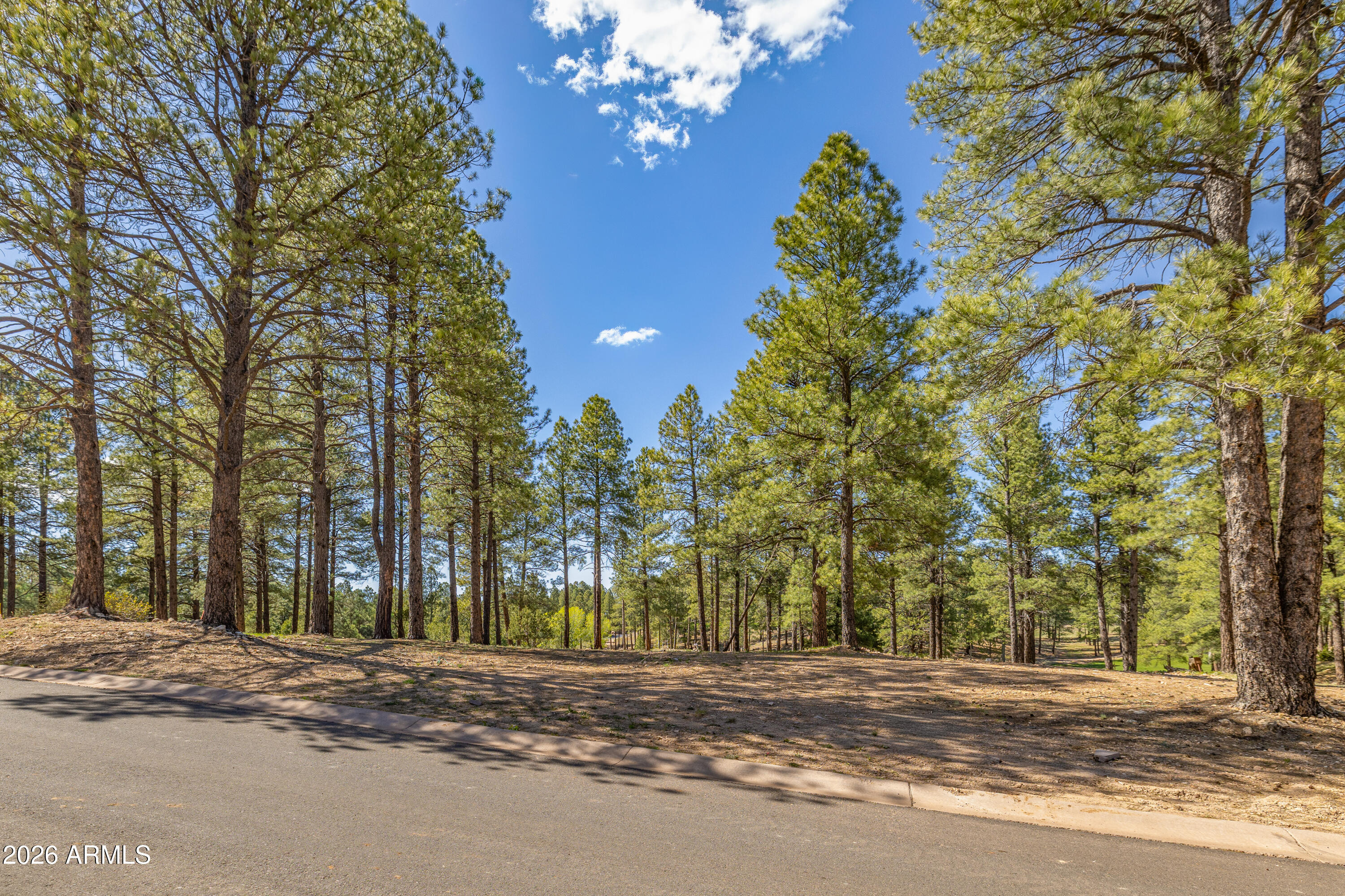 Pine Canyon - Land