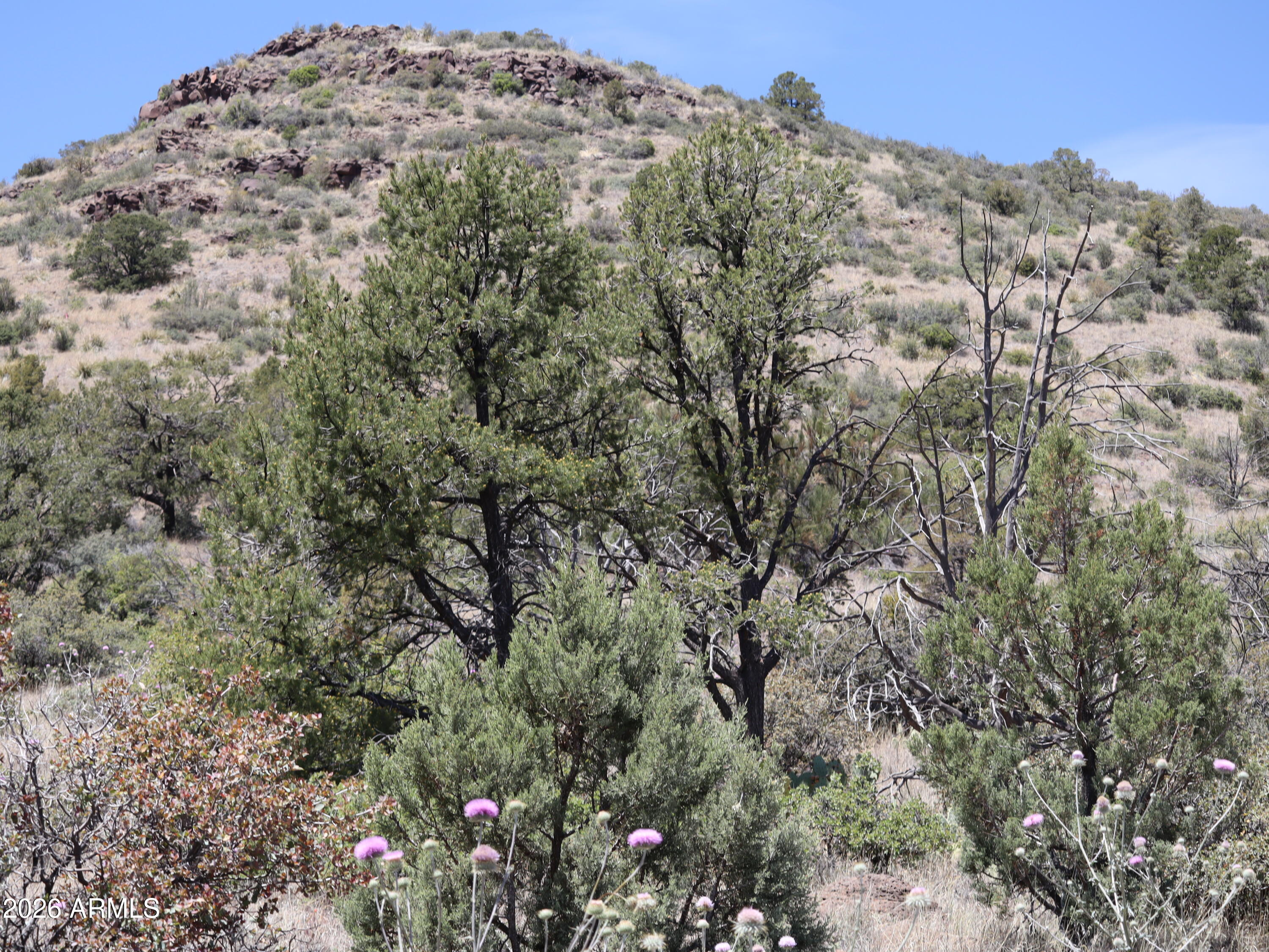 STRINGFIELD AT GRANITE MOUNTAIN PHASE 1 - Land