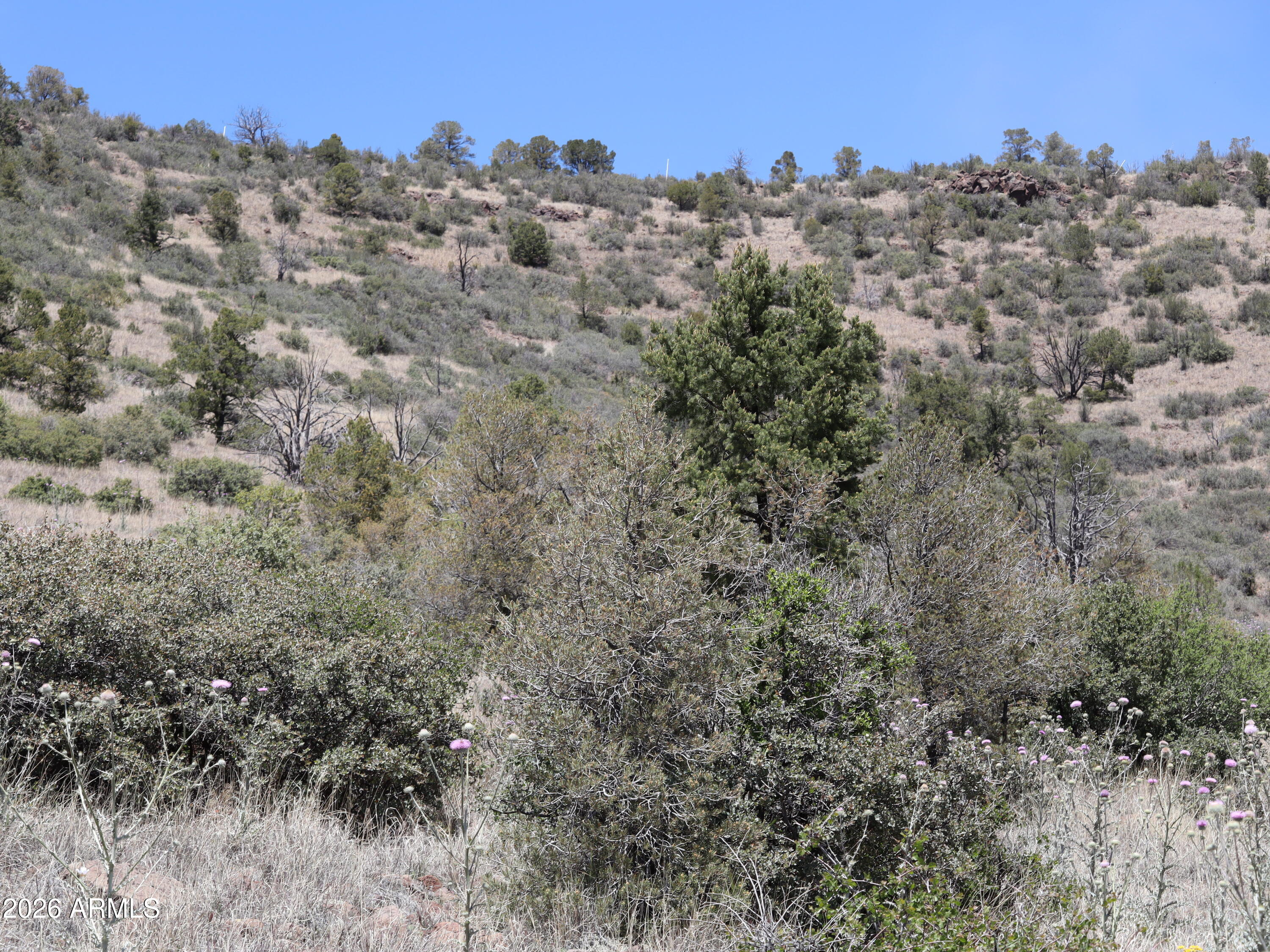 STRINGFIELD AT GRANITE MOUNTAIN PHASE 1 - Land