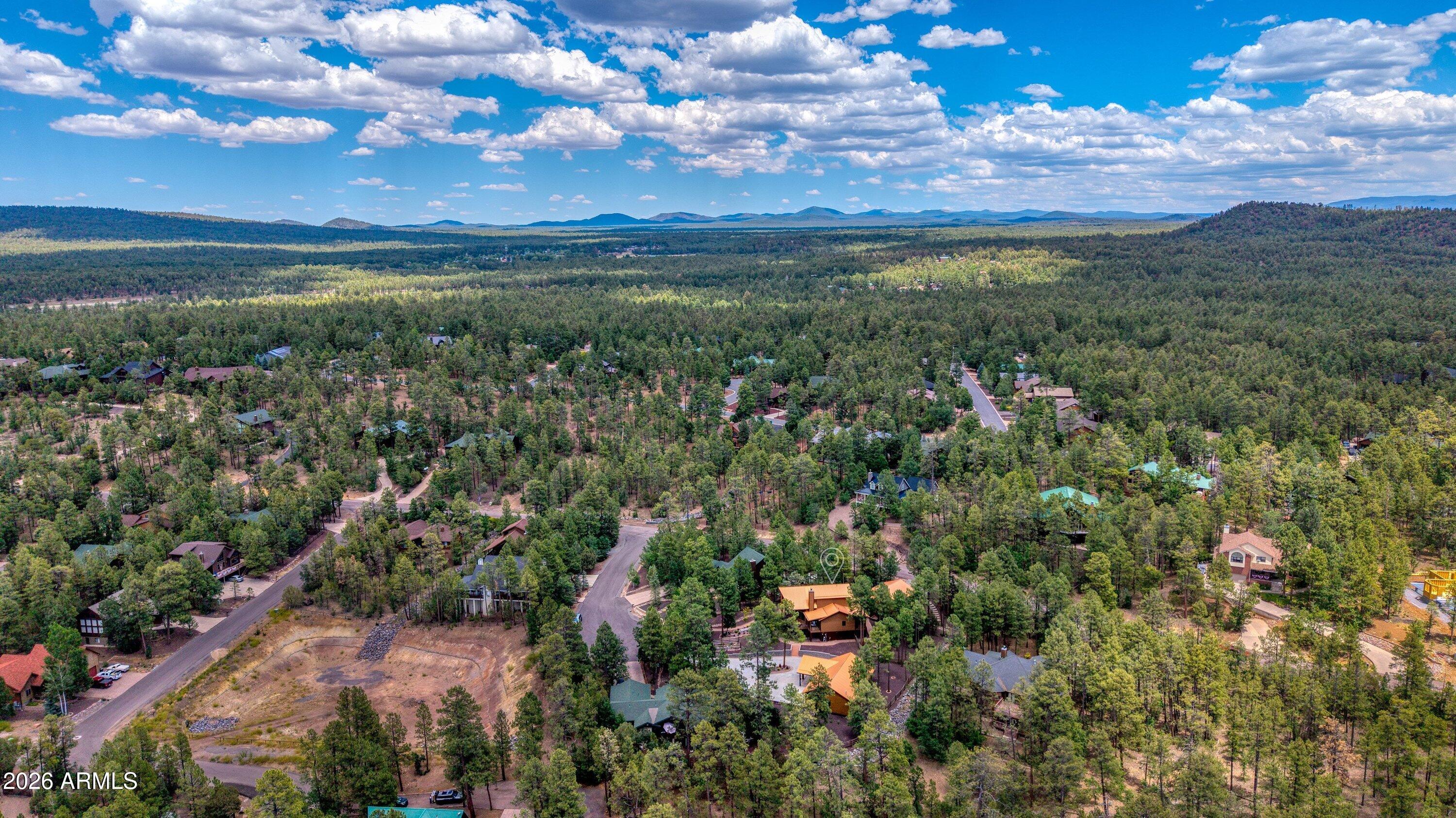 The Woods at Pinetop - Residential
