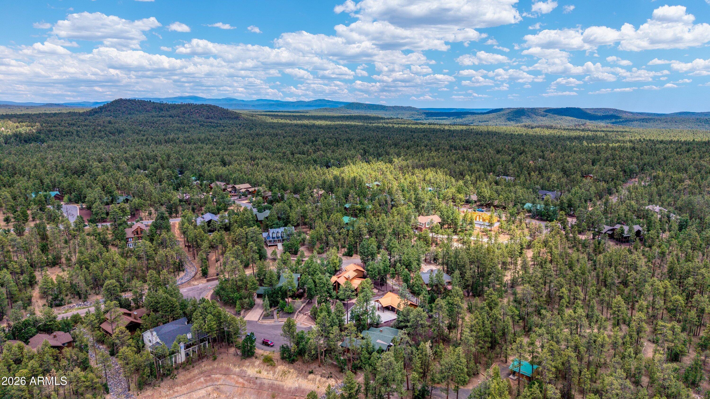 The Woods at Pinetop - Residential