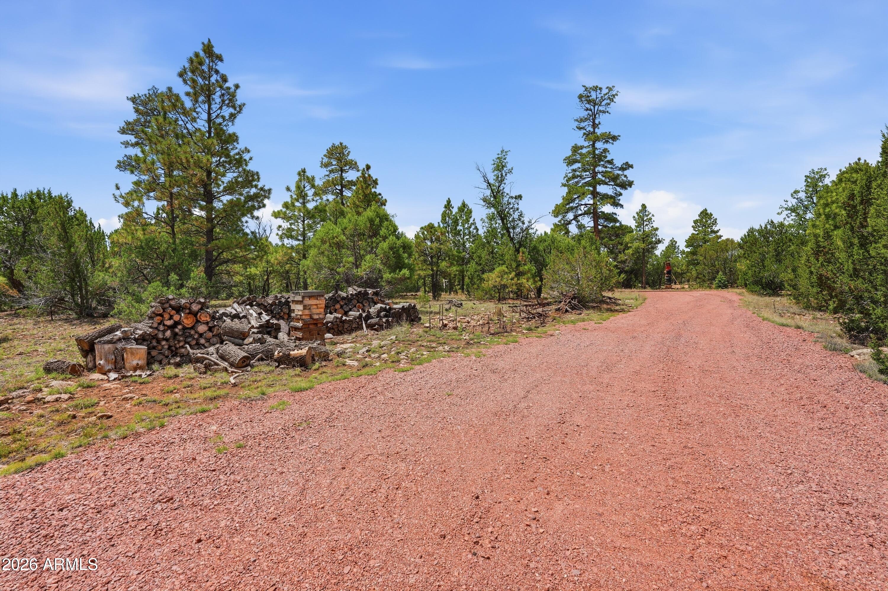 PONDEROSA PINES 1 AMENDED - Residential