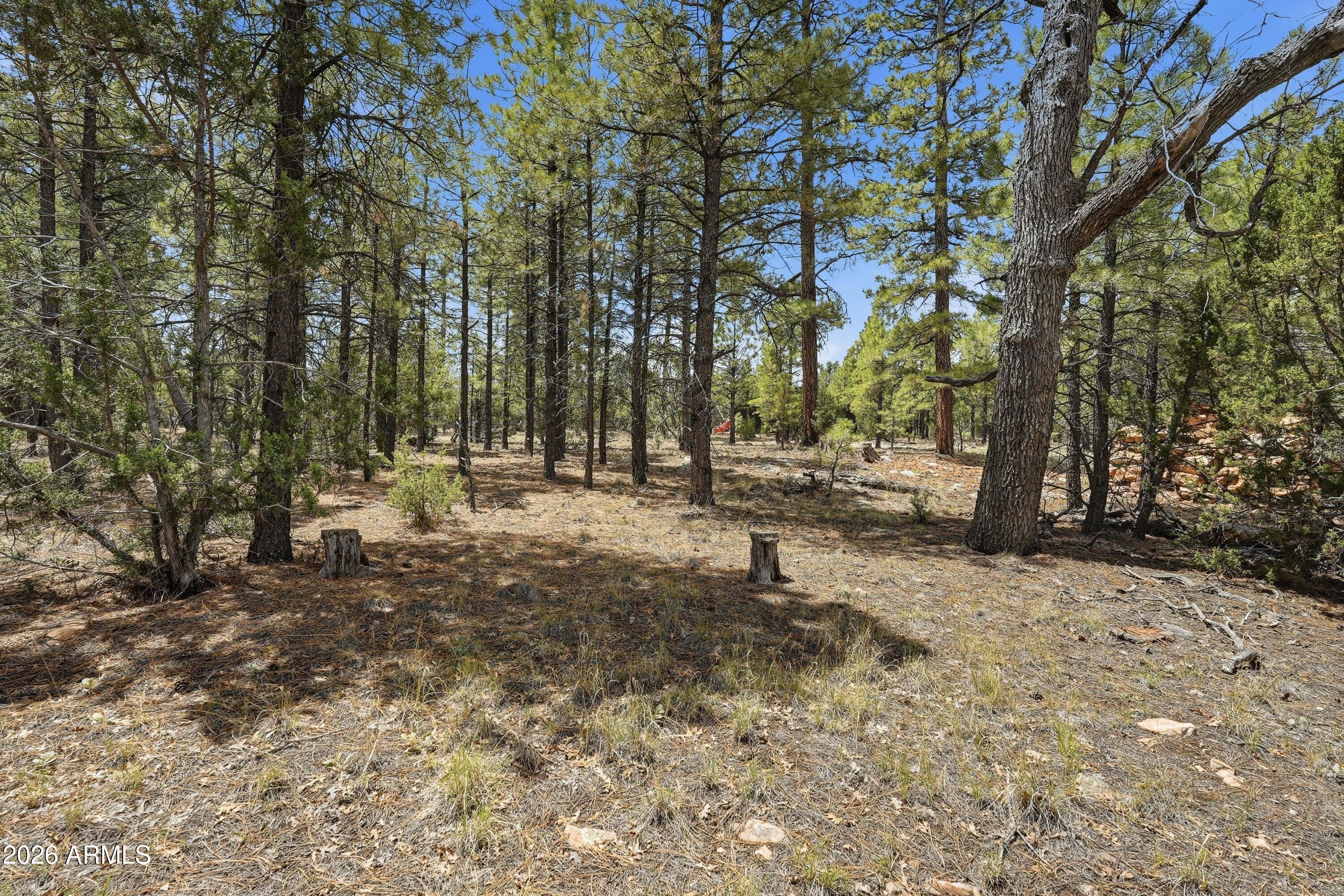 PONDEROSA PINES 1 AMENDED - Residential