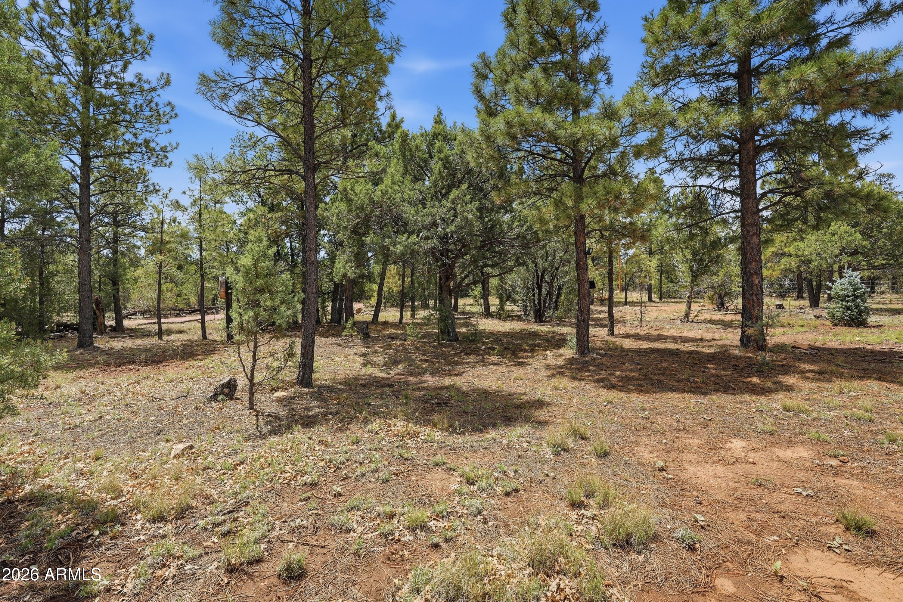 PONDEROSA PINES 1 AMENDED - Residential
