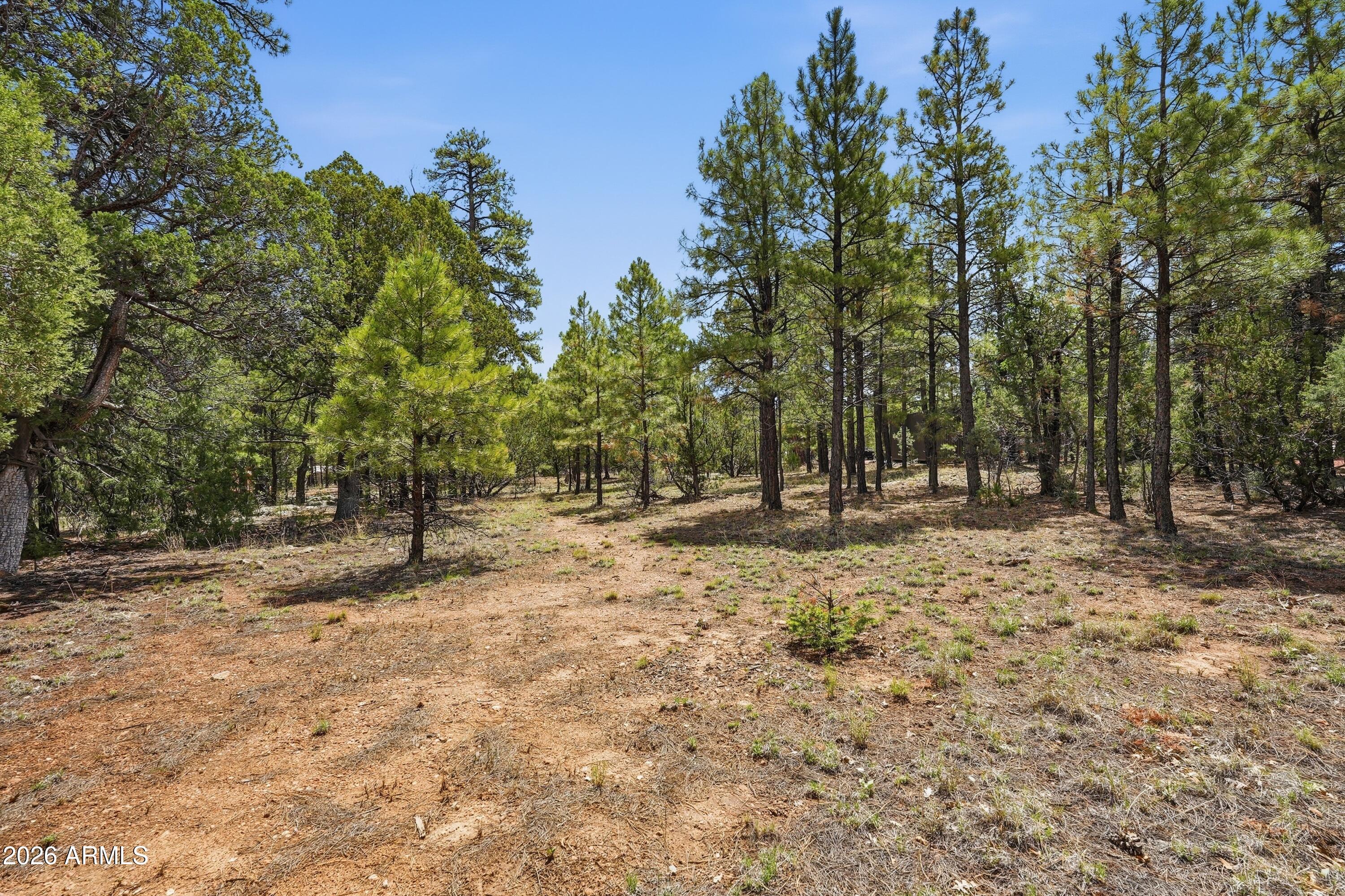 PONDEROSA PINES 1 AMENDED - Residential