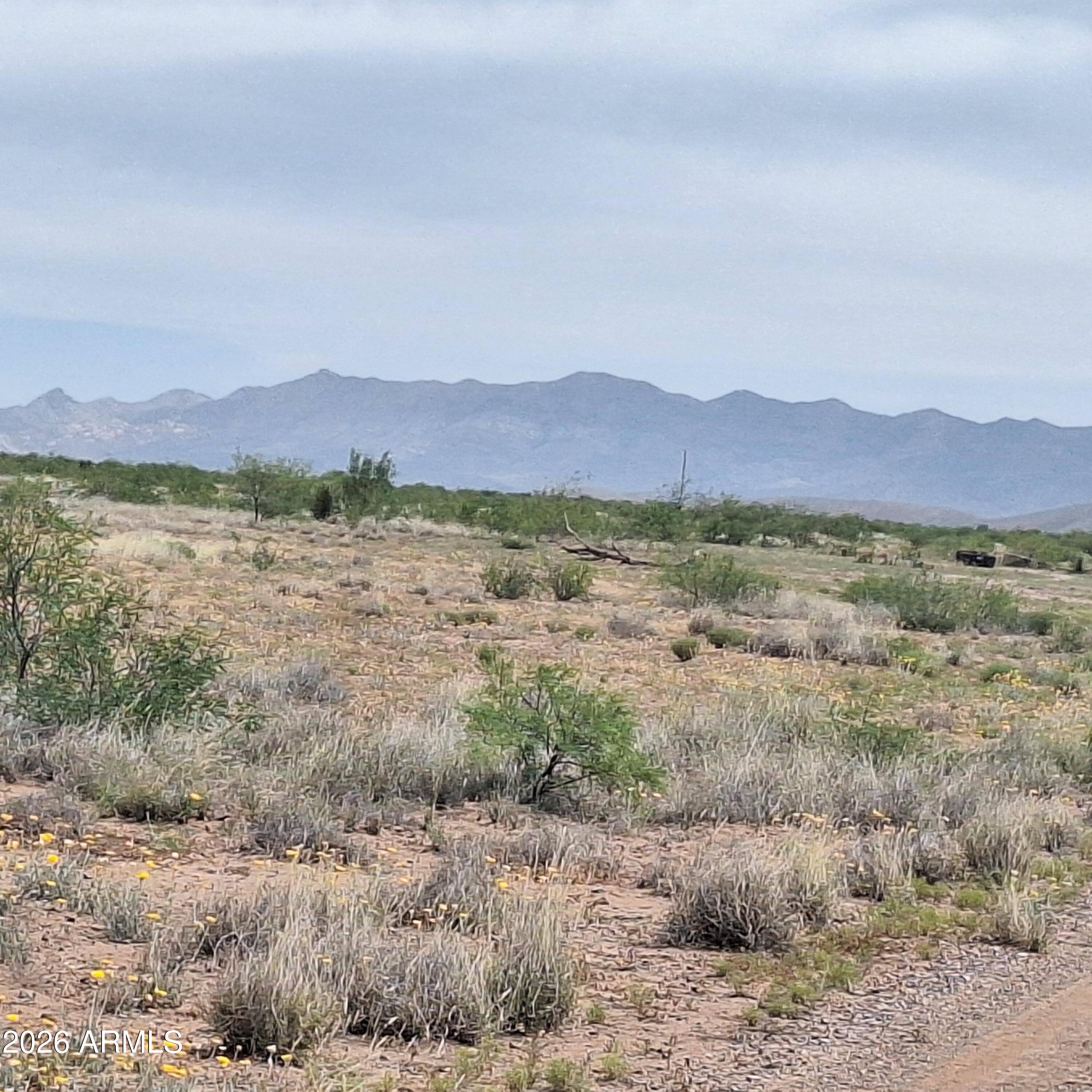 RURAL - Double Adobe/McNeal/Douglas - Land