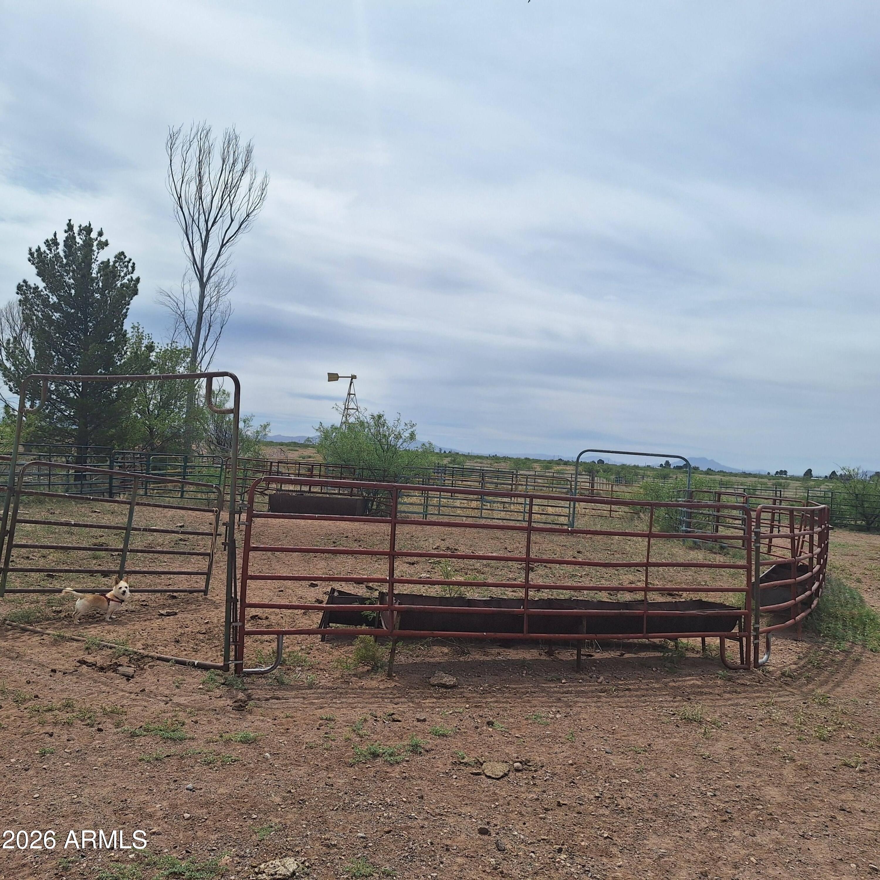 RURAL - Double Adobe/McNeal/Douglas - Land