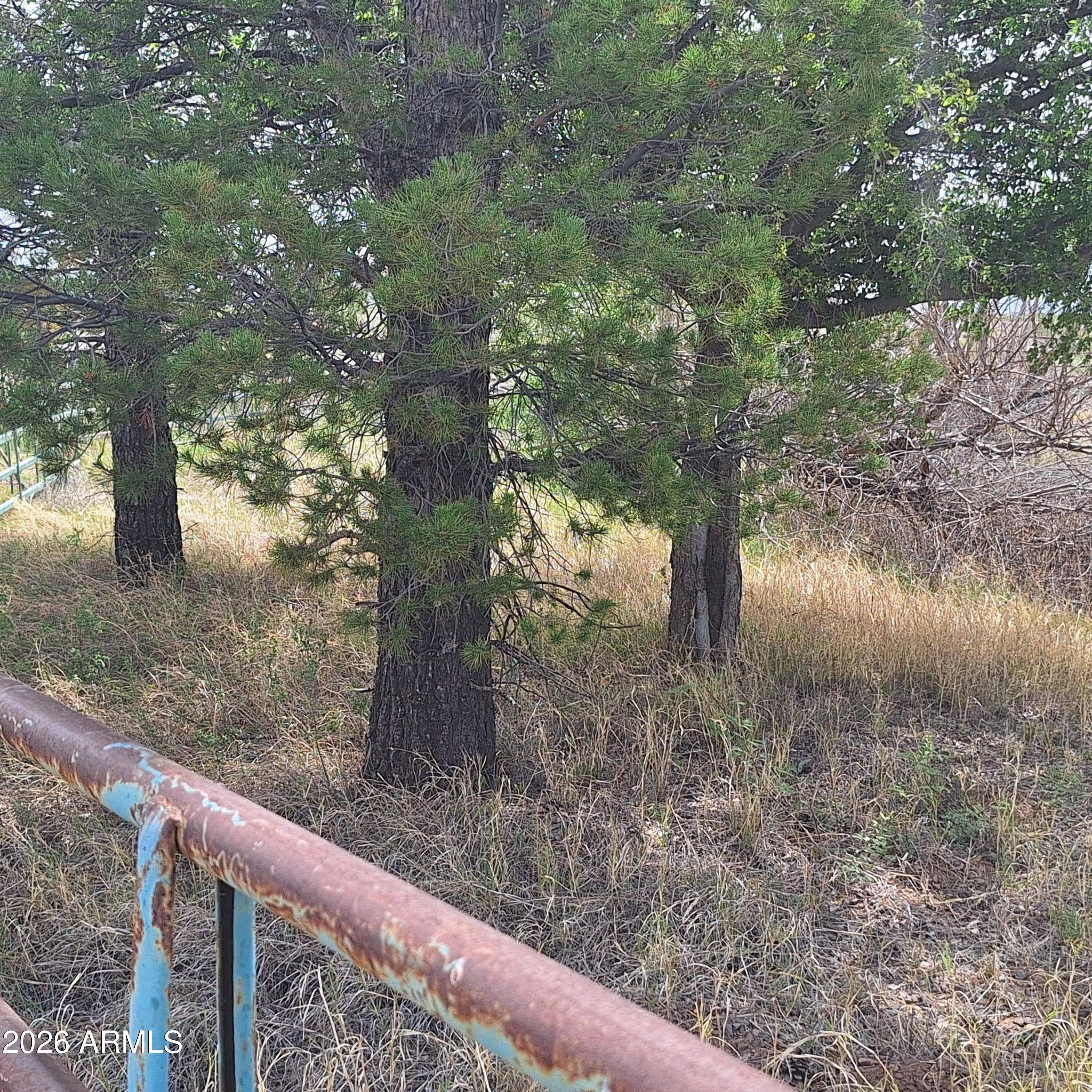 RURAL - Double Adobe/McNeal/Douglas - Land