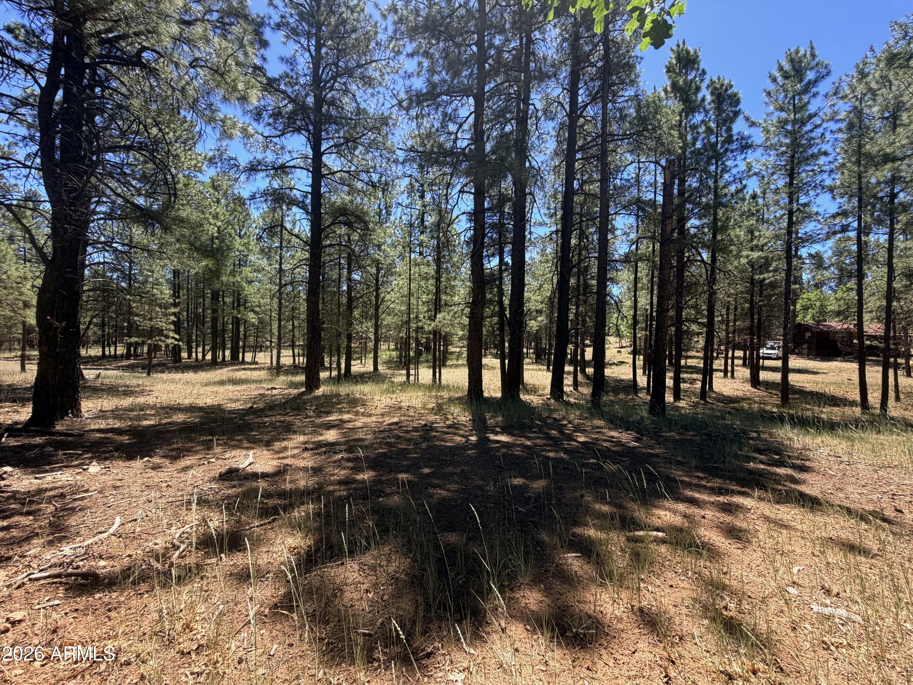 CLEAR CREEK PINES 5 - Land