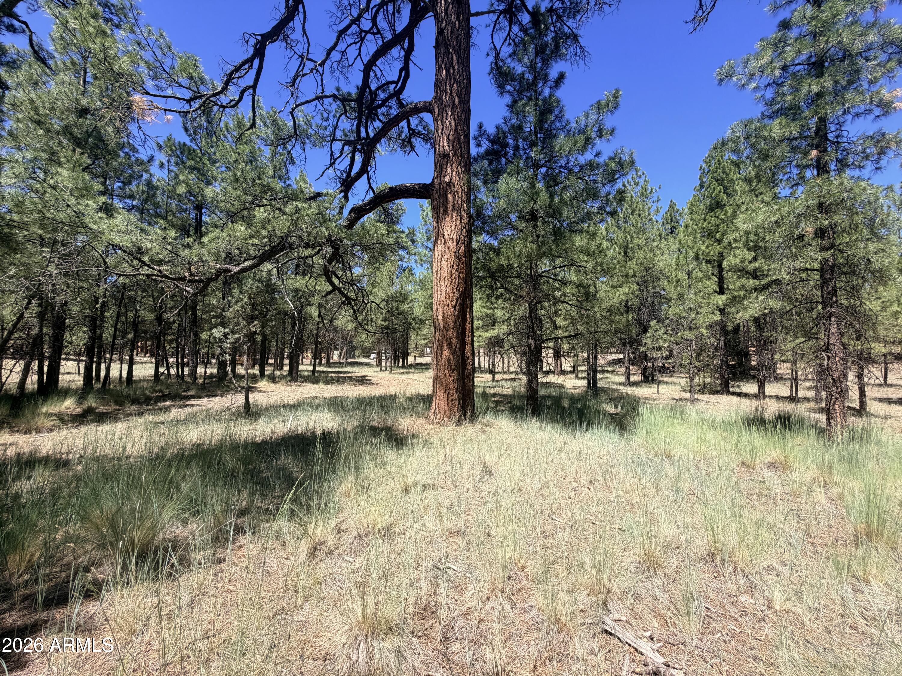 CLEAR CREEK PINES 5 - Land