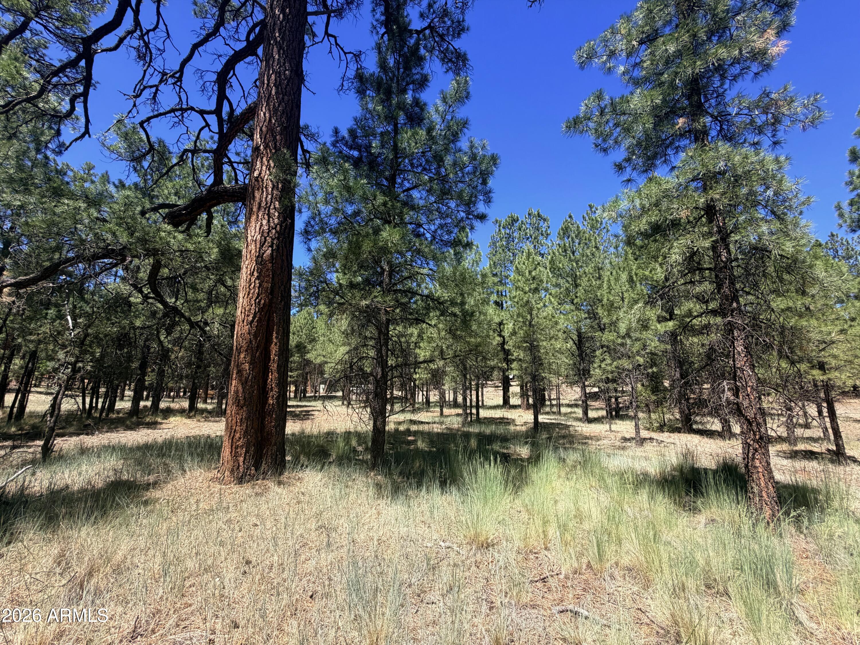 CLEAR CREEK PINES 5 - Land