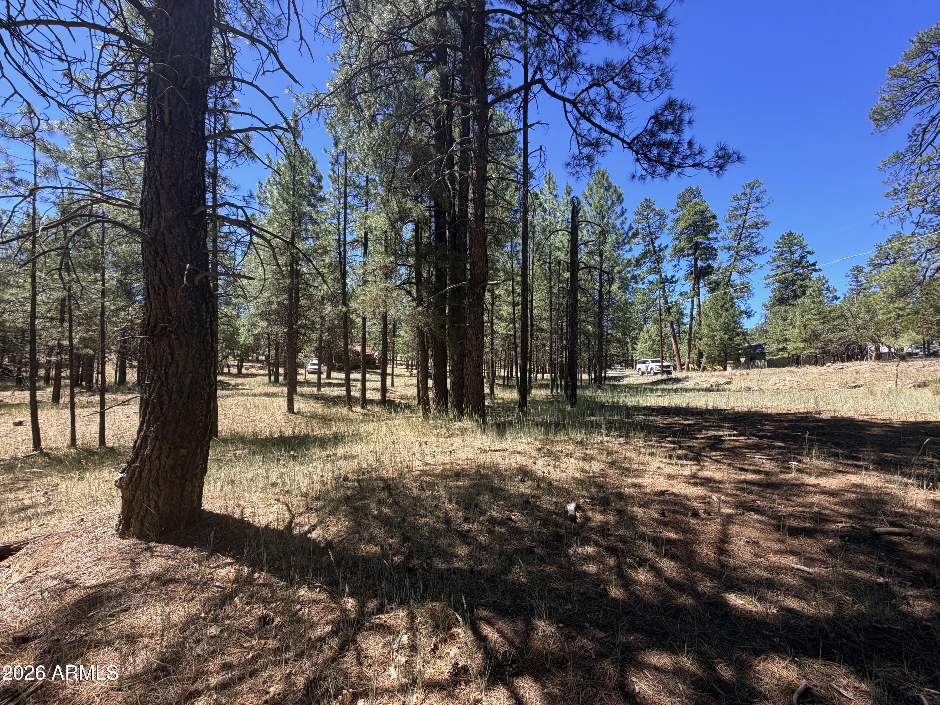 CLEAR CREEK PINES 5 - Land