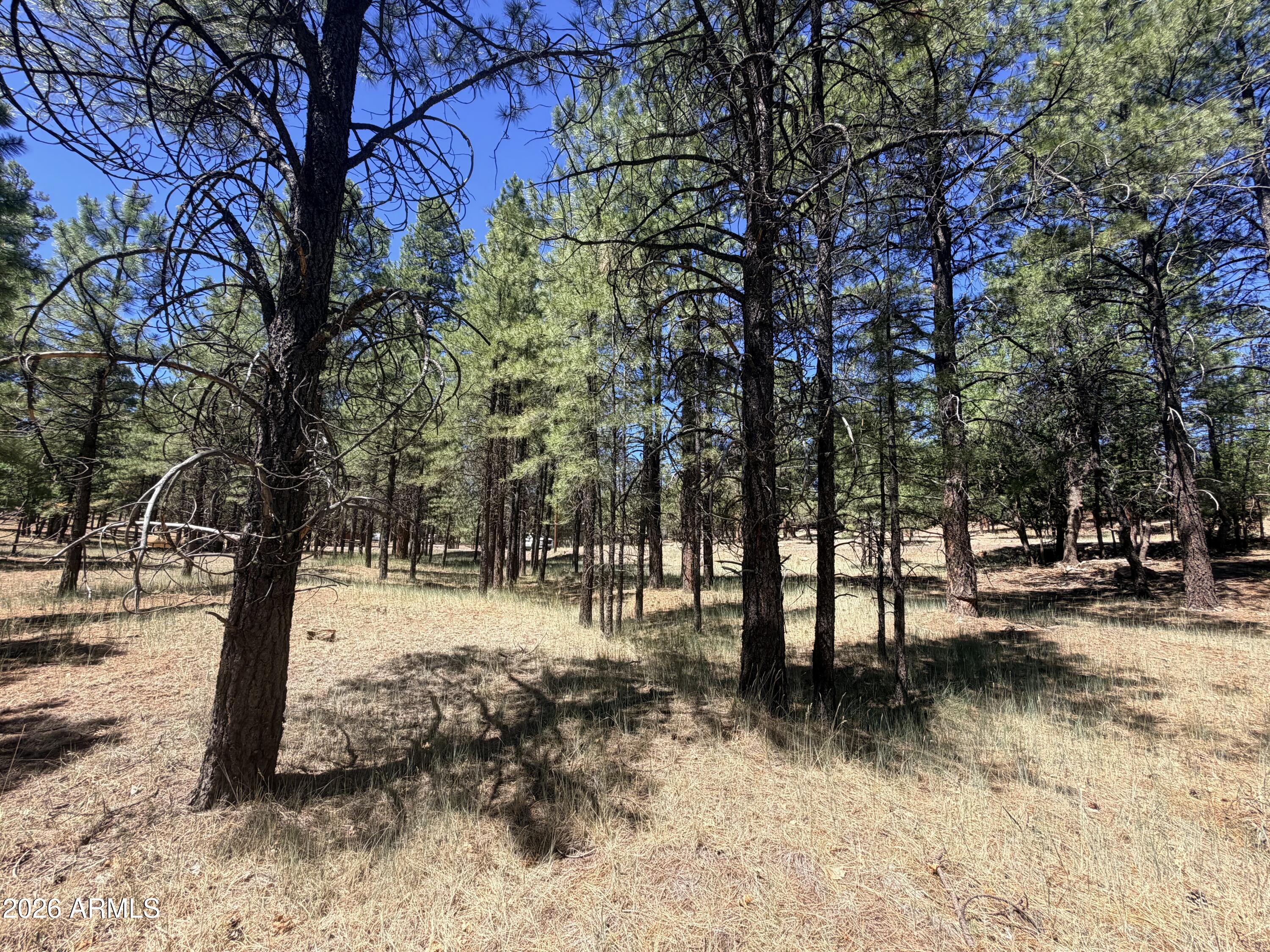 CLEAR CREEK PINES 5 - Land