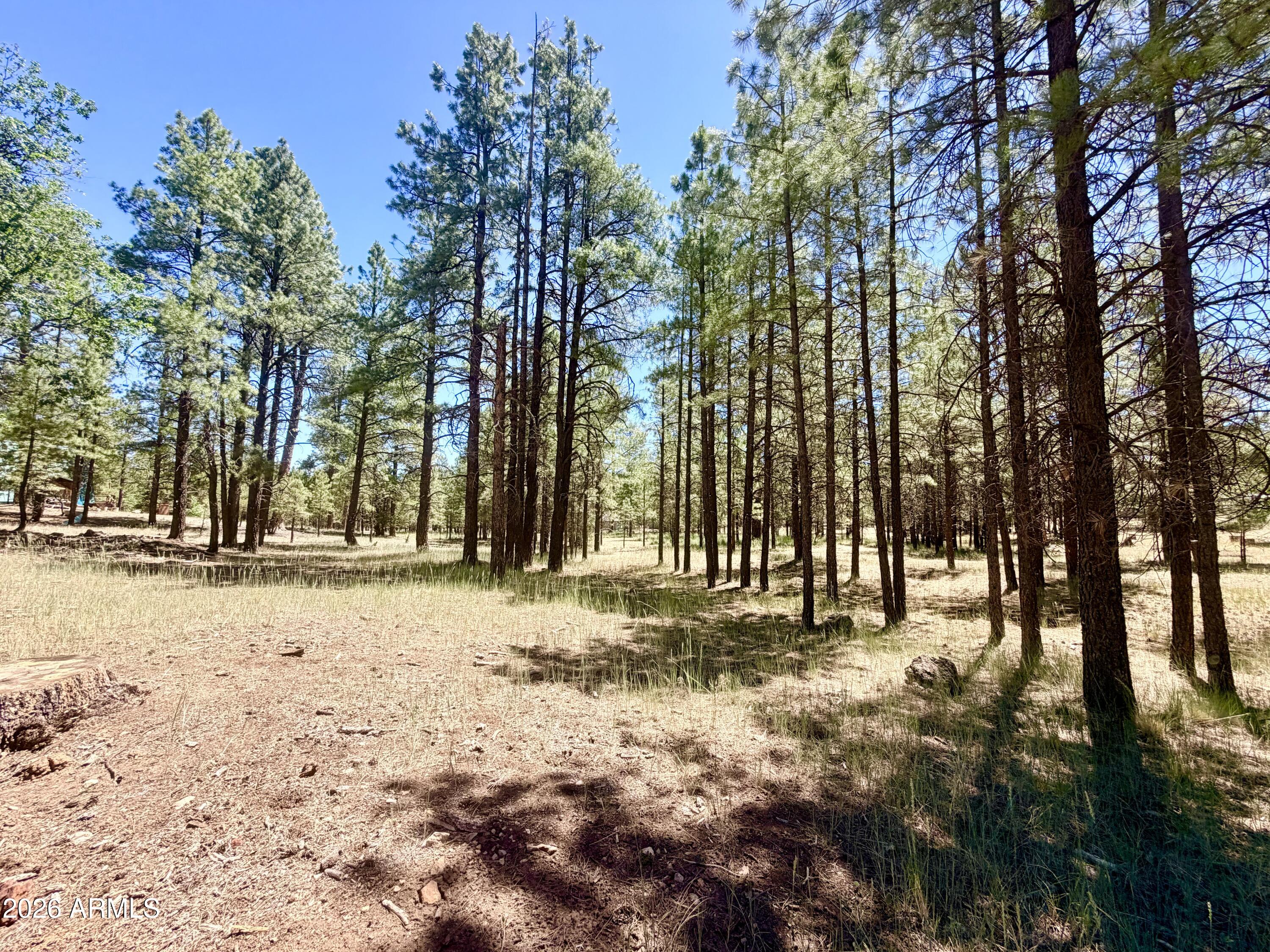 CLEAR CREEK PINES 5 - Land