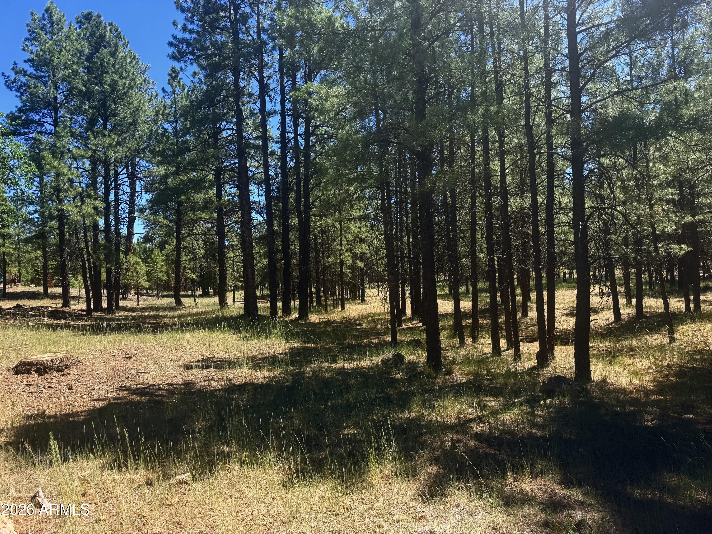 1 acre NON HOA VACANT land waiting for you to build your perfect cabin.  Well treed with a variety of mature pines, oaks and junipers. RV and manufactured homes are okay as well as site built. You can have horses, toys and more. Buyer will need to install septic, electric (from lot line with permitted bldg) and water. SELLER WILL HAVE THE HOME ADJACENT TO IT  LISTED LATER THIS WEEK.  You could buy both and have over two acres of land. Once listed I will link the address.  Buy both yourself  or have a family or friend purchase one.