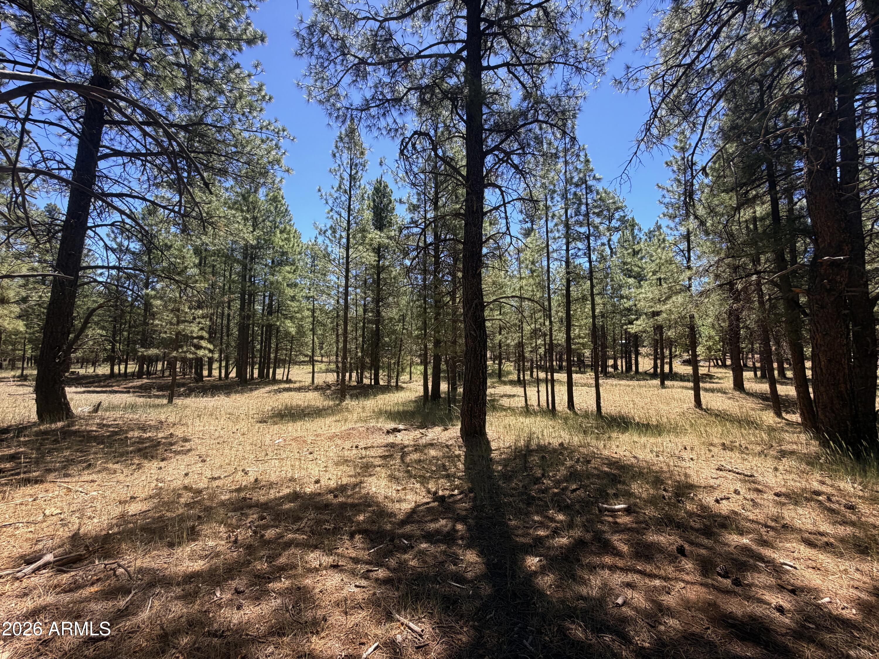 CLEAR CREEK PINES 5 - Land