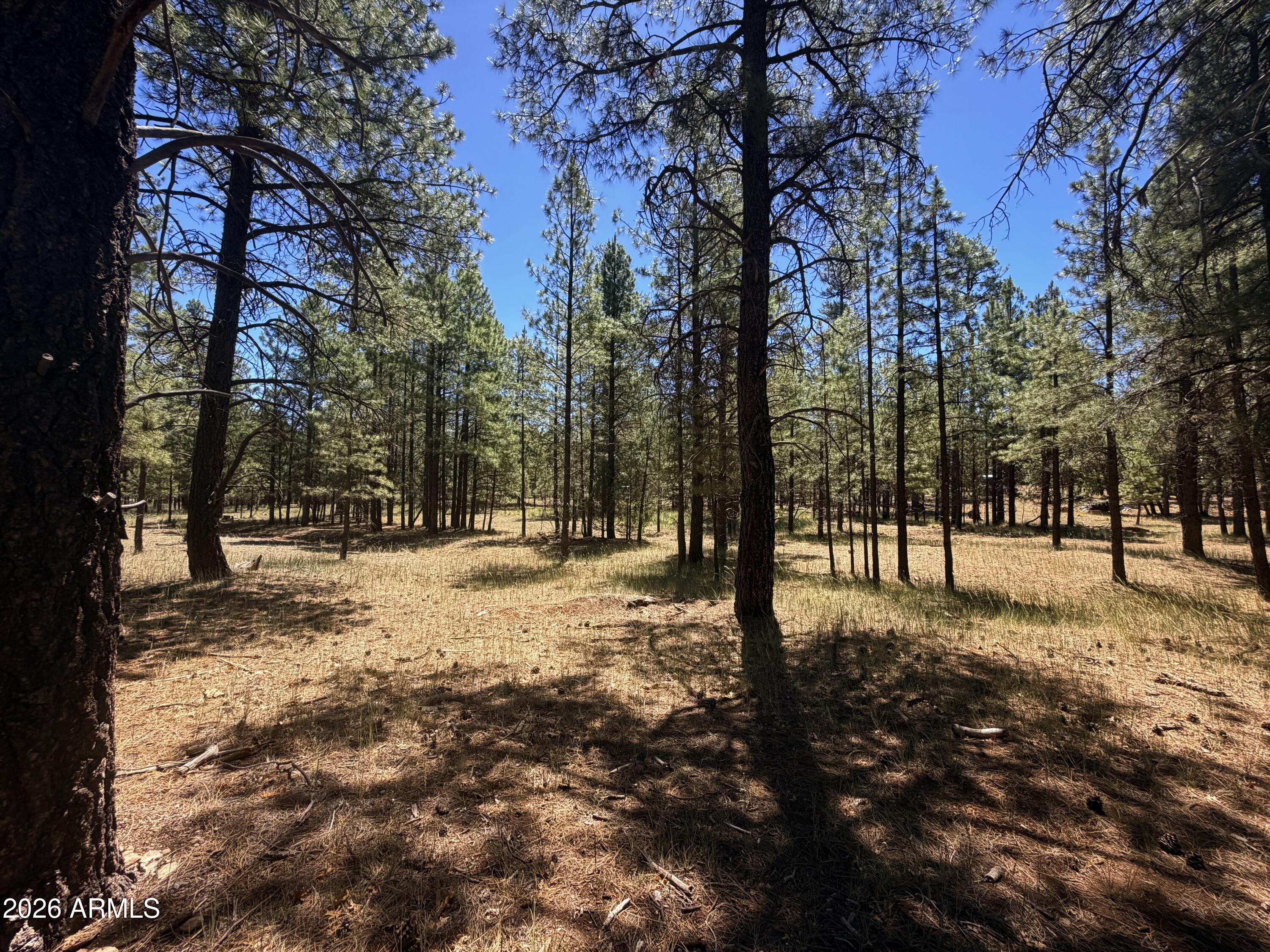 CLEAR CREEK PINES 5 - Land