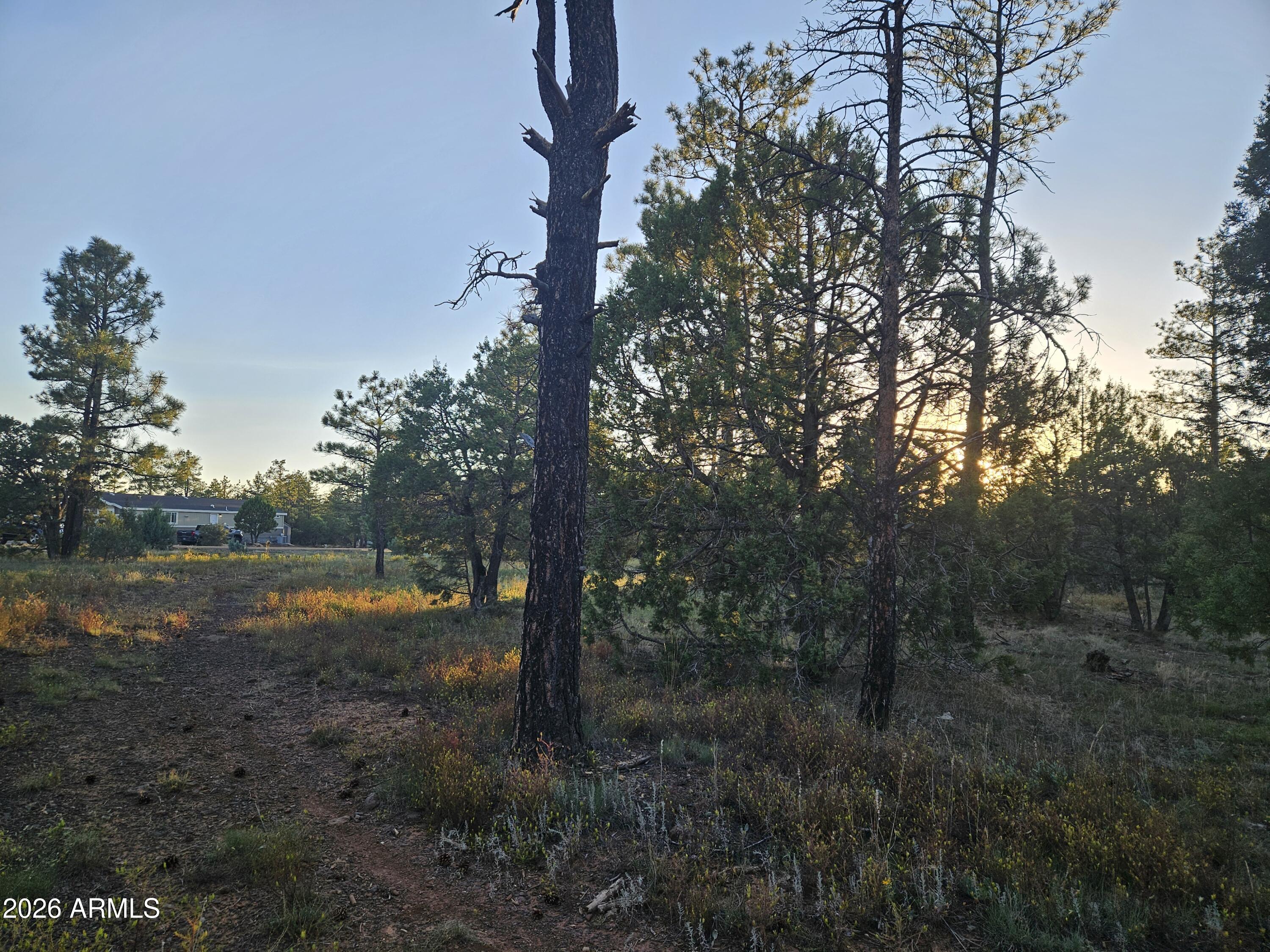 WOLF PINES UNIT 2 - Land