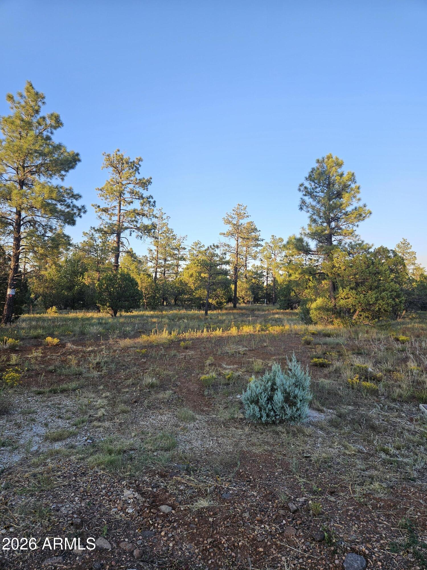 WOLF PINES UNIT 2 - Land