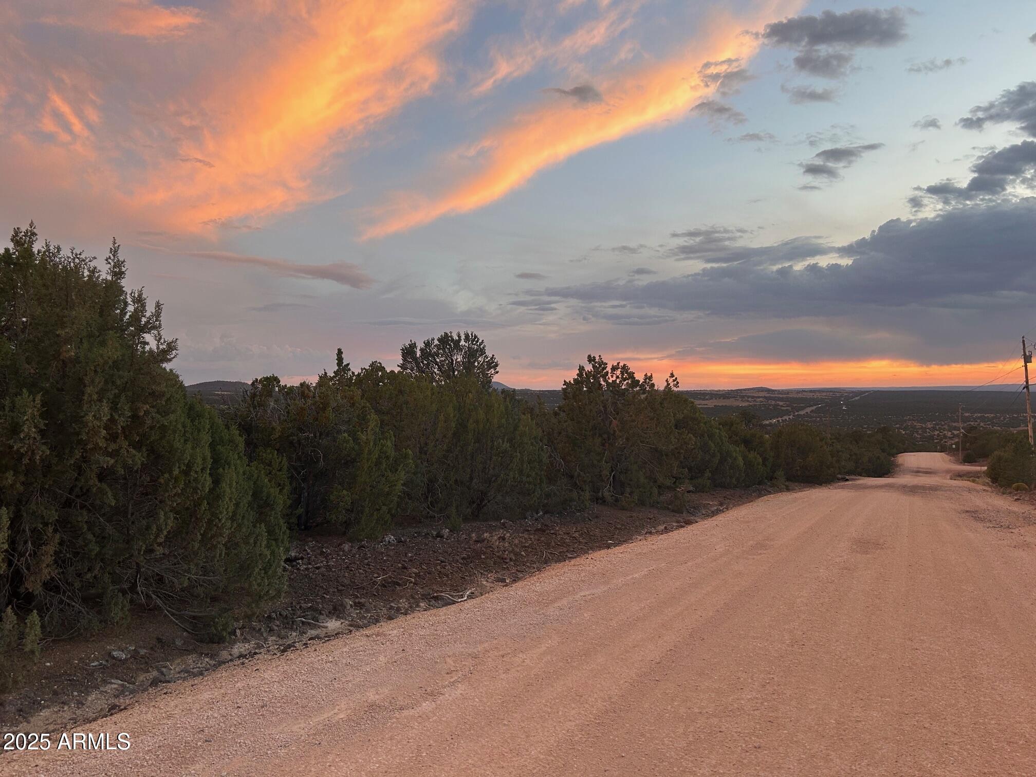 MOUNTAIN PINE RANCH UNIT 1 - Land