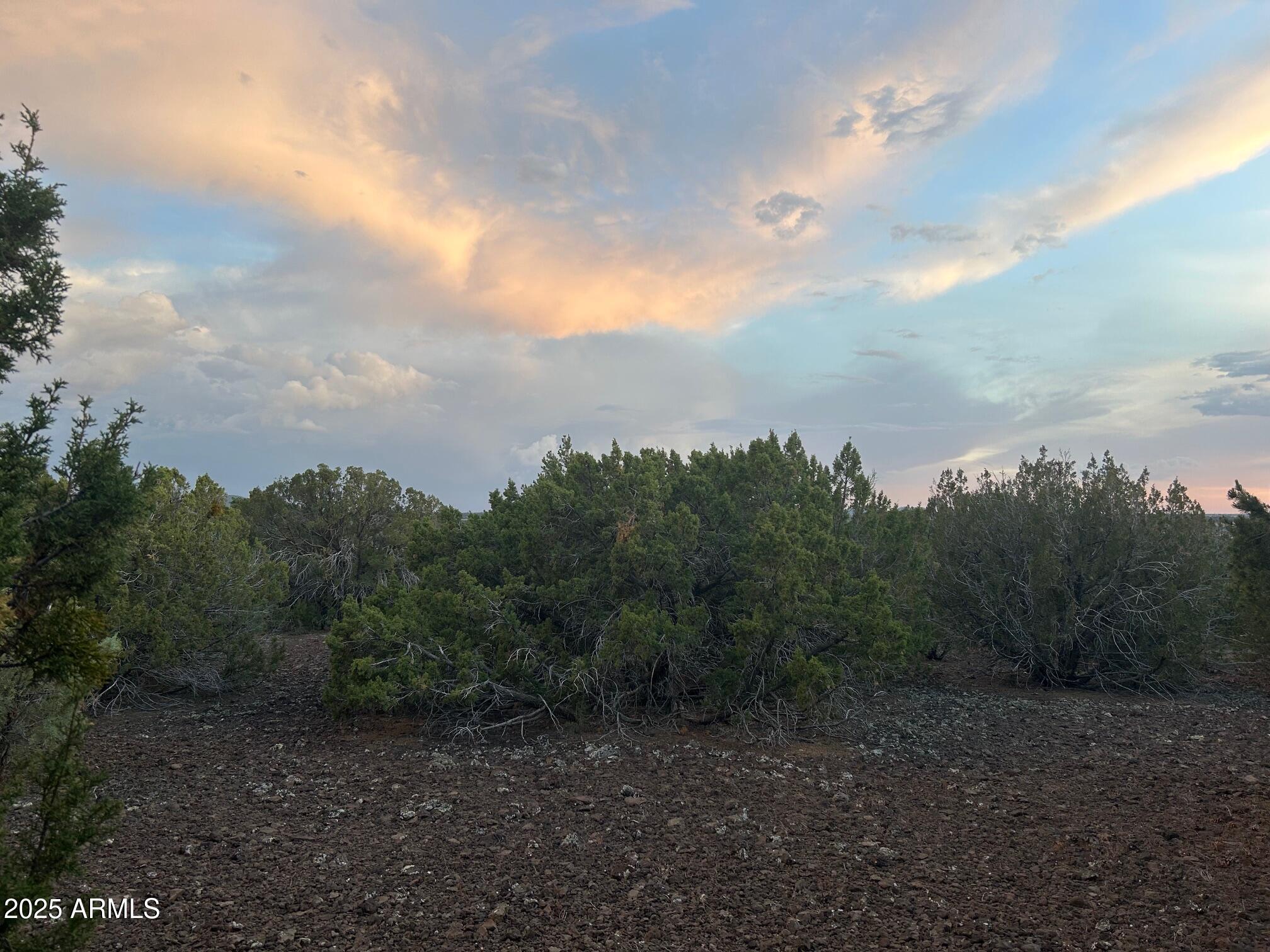 MOUNTAIN PINE RANCH UNIT 1 - Land