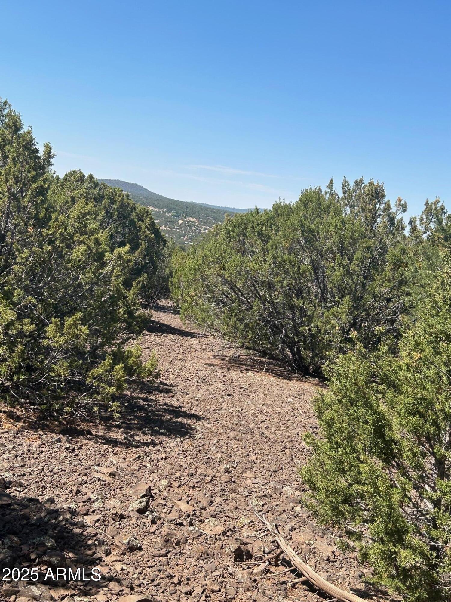 MOUNTAIN PINE RANCH UNIT 1 - Land