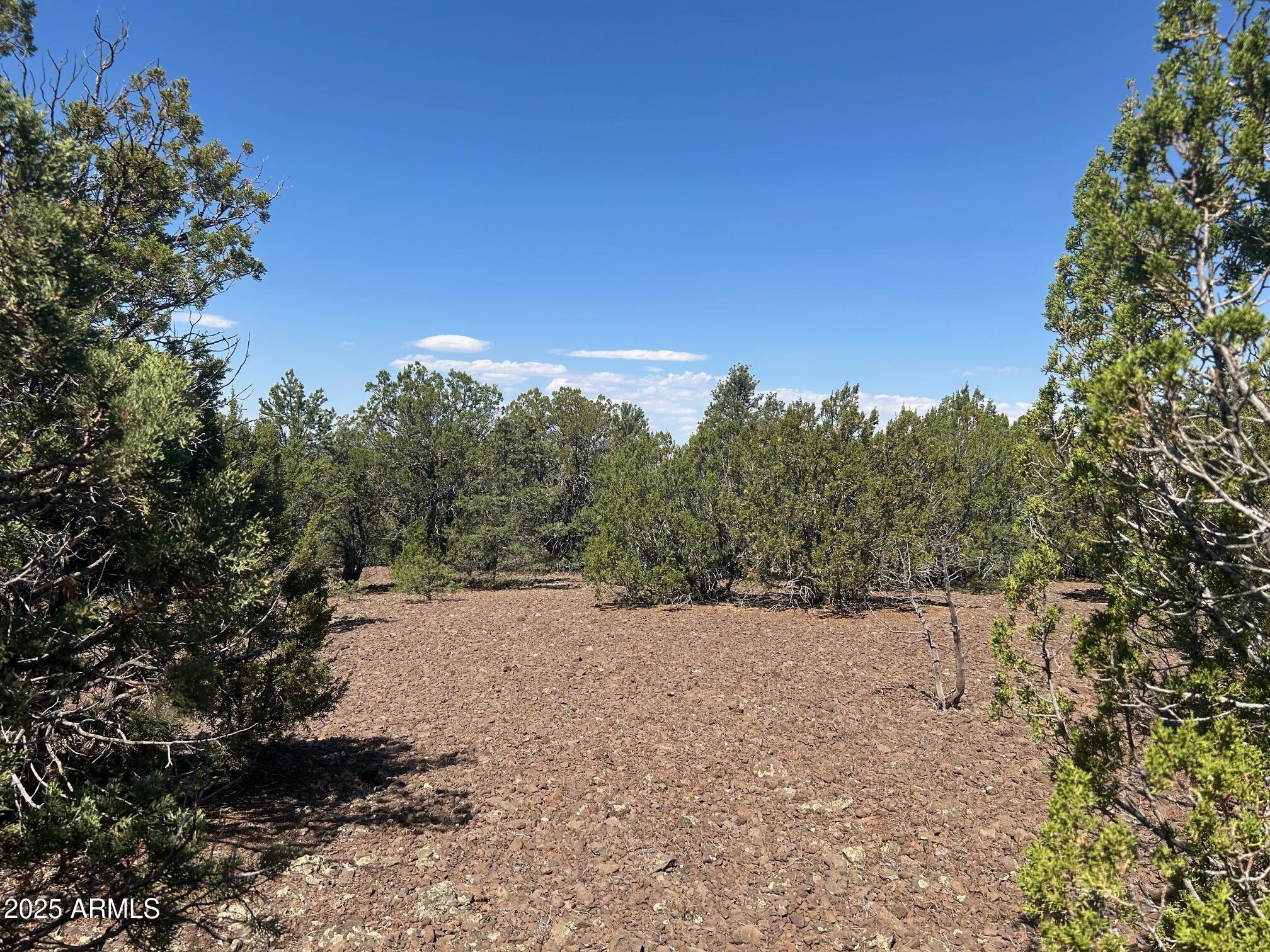 MOUNTAIN PINE RANCH UNIT 1 - Land