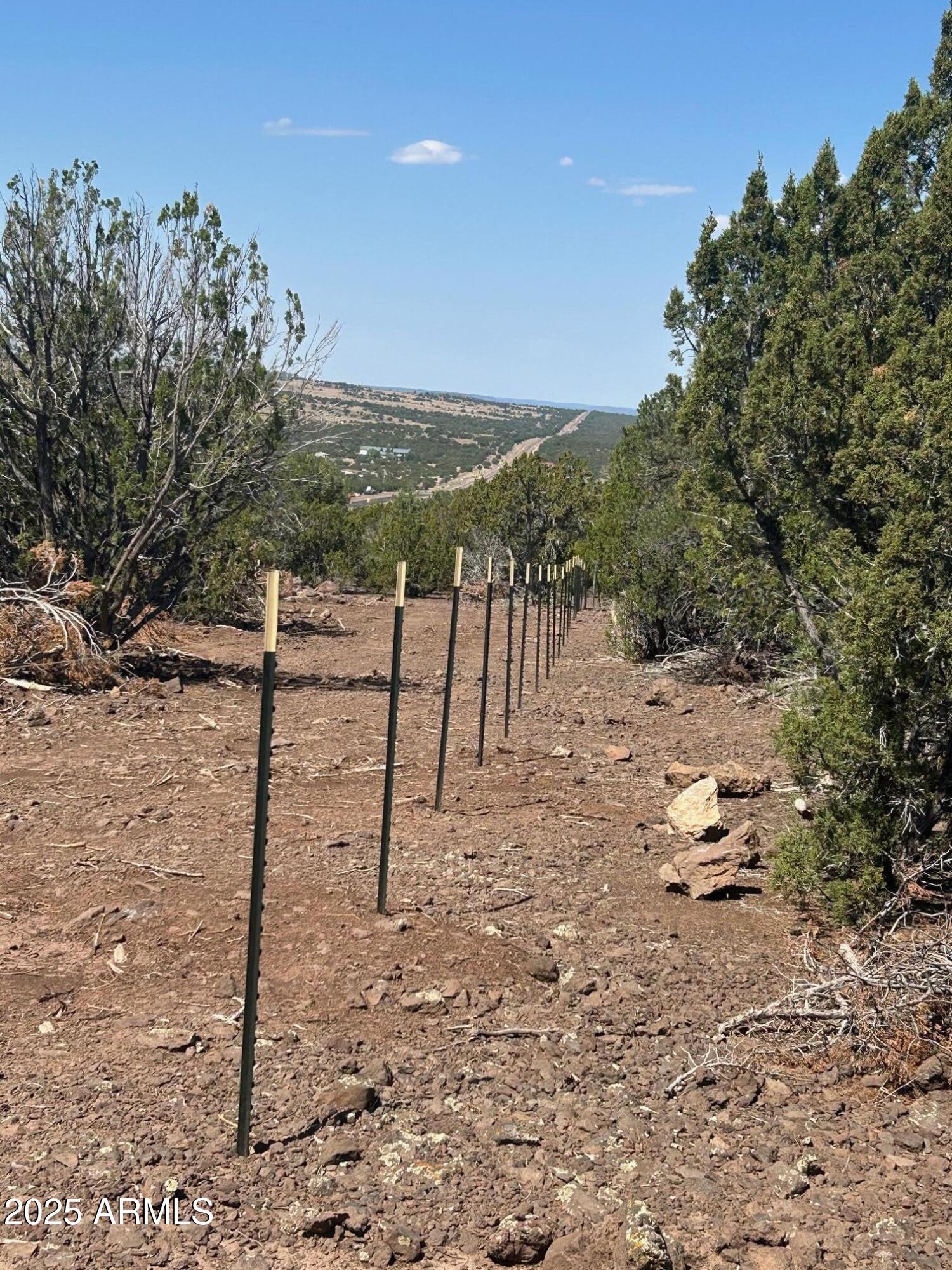 MOUNTAIN PINE RANCH UNIT 1 - Land