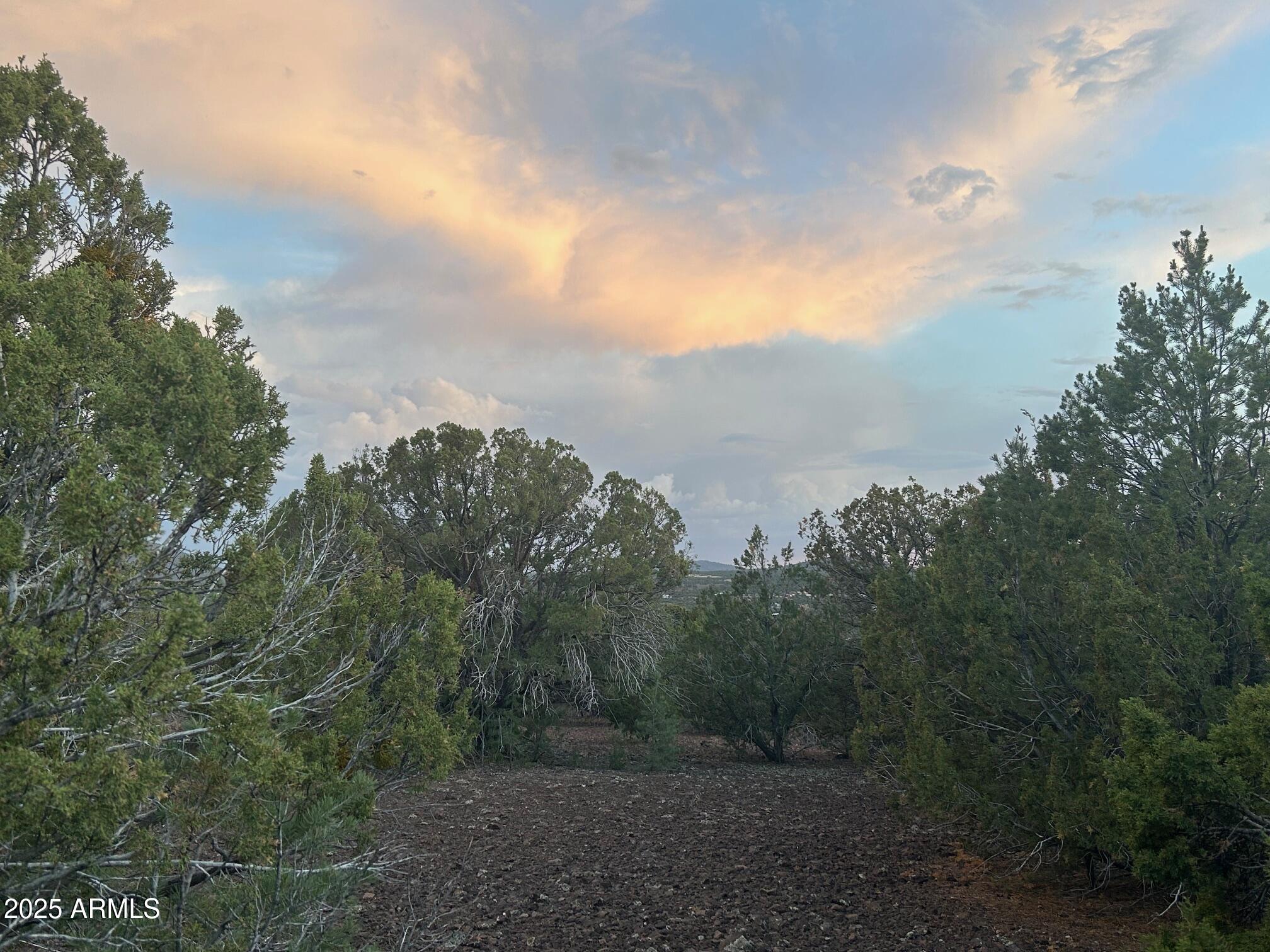 MOUNTAIN PINE RANCH UNIT 1 - Land