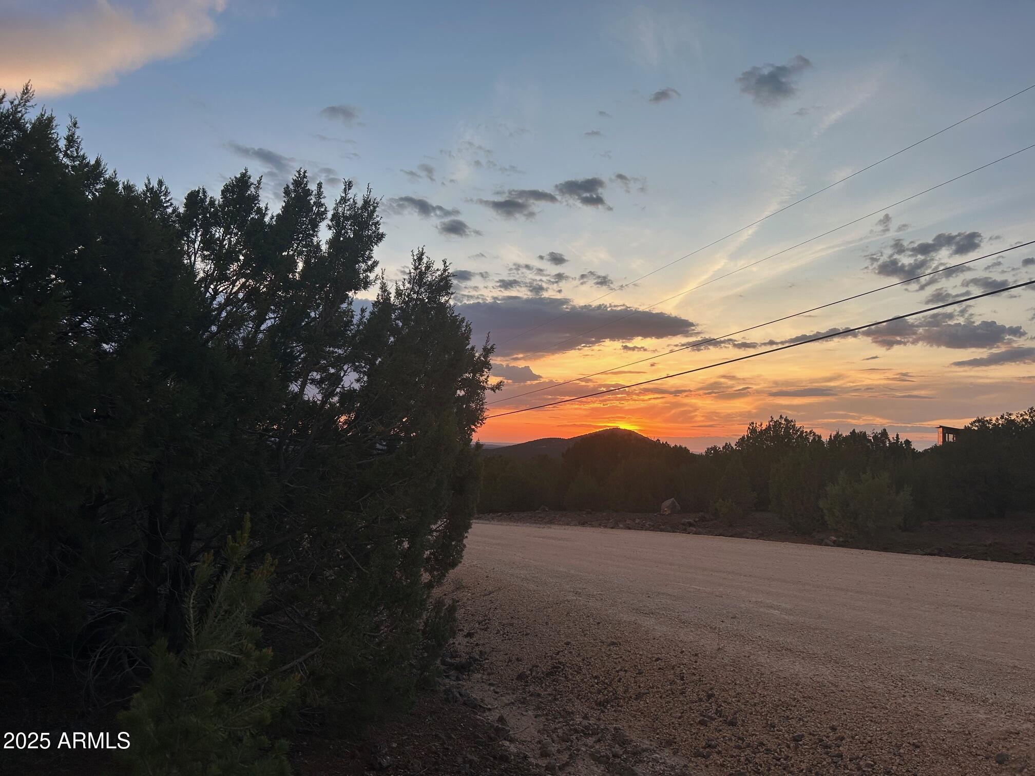 MOUNTAIN PINE RANCH UNIT 1 - Land