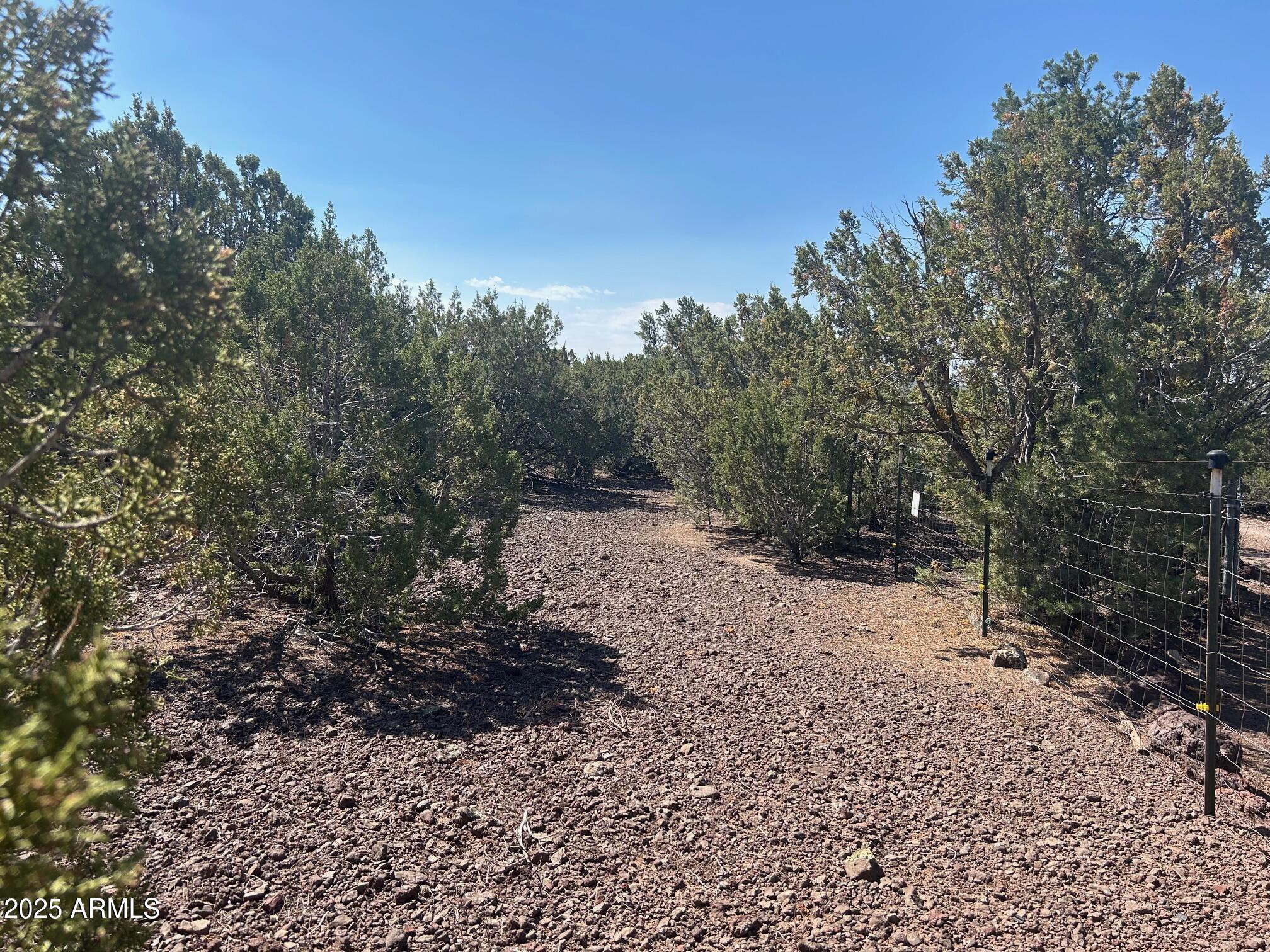 MOUNTAIN PINE RANCH UNIT 1 - Land