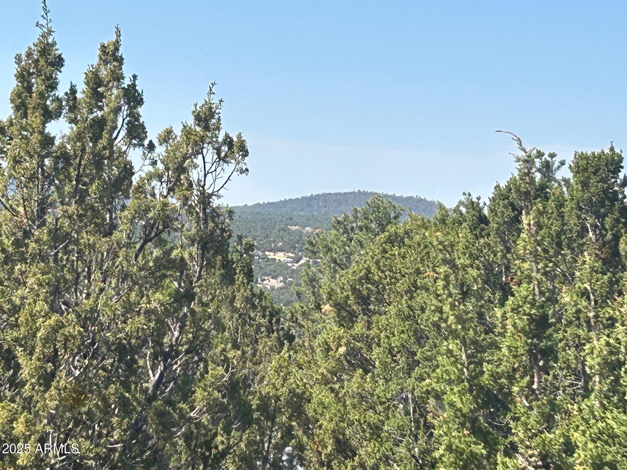 MOUNTAIN PINE RANCH UNIT 1 - Land
