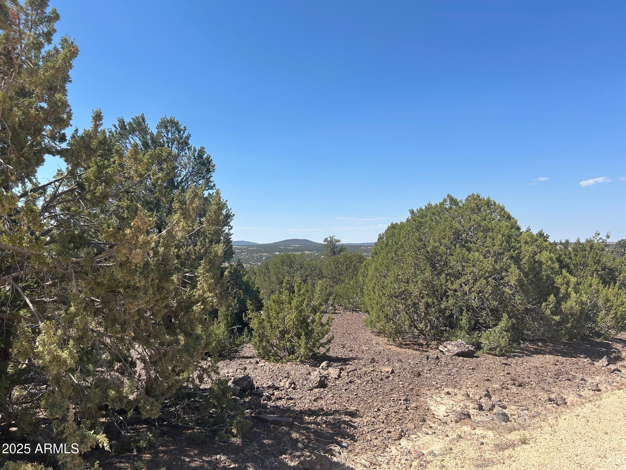 MOUNTAIN PINE RANCH UNIT 1 - Land
