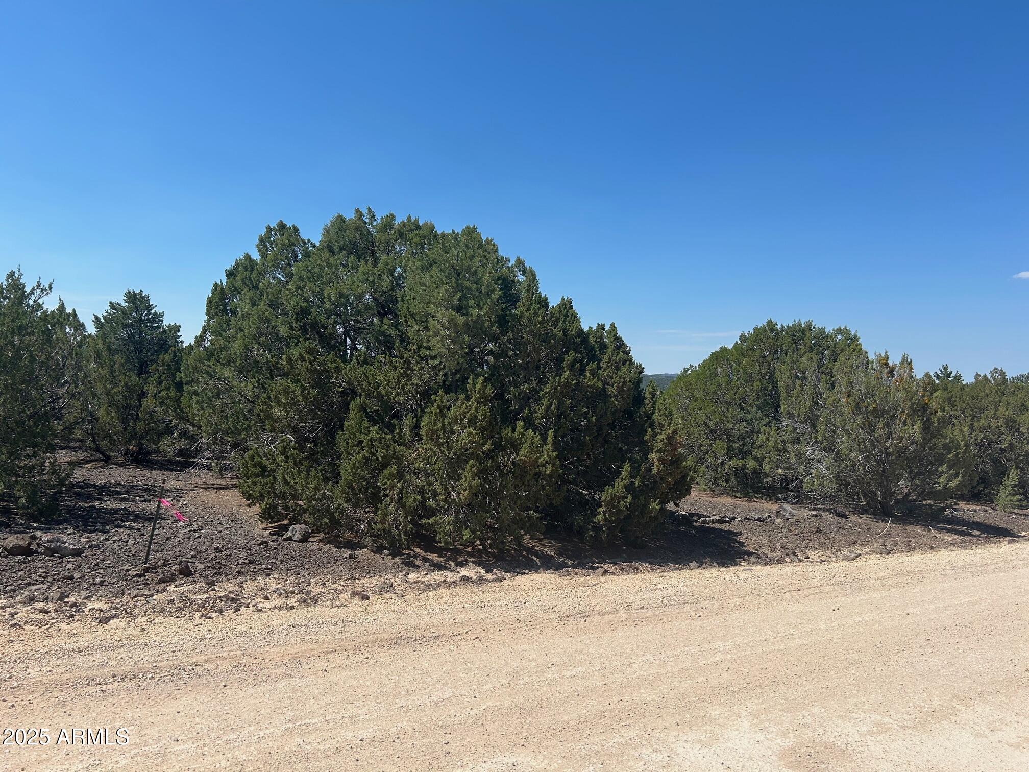 MOUNTAIN PINE RANCH UNIT 1 - Land