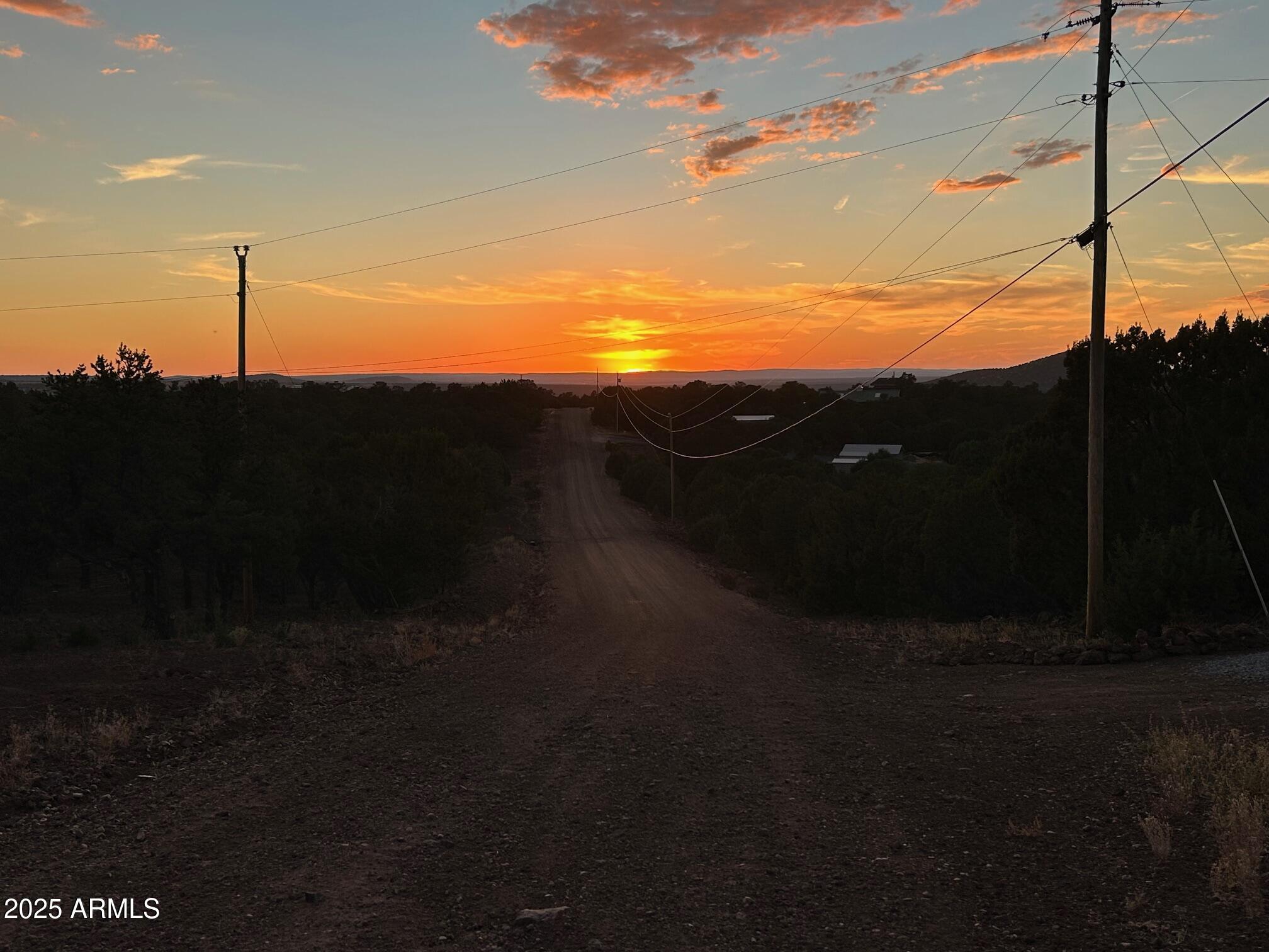 MOUNTAIN PINE RANCH UNIT 1 - Land
