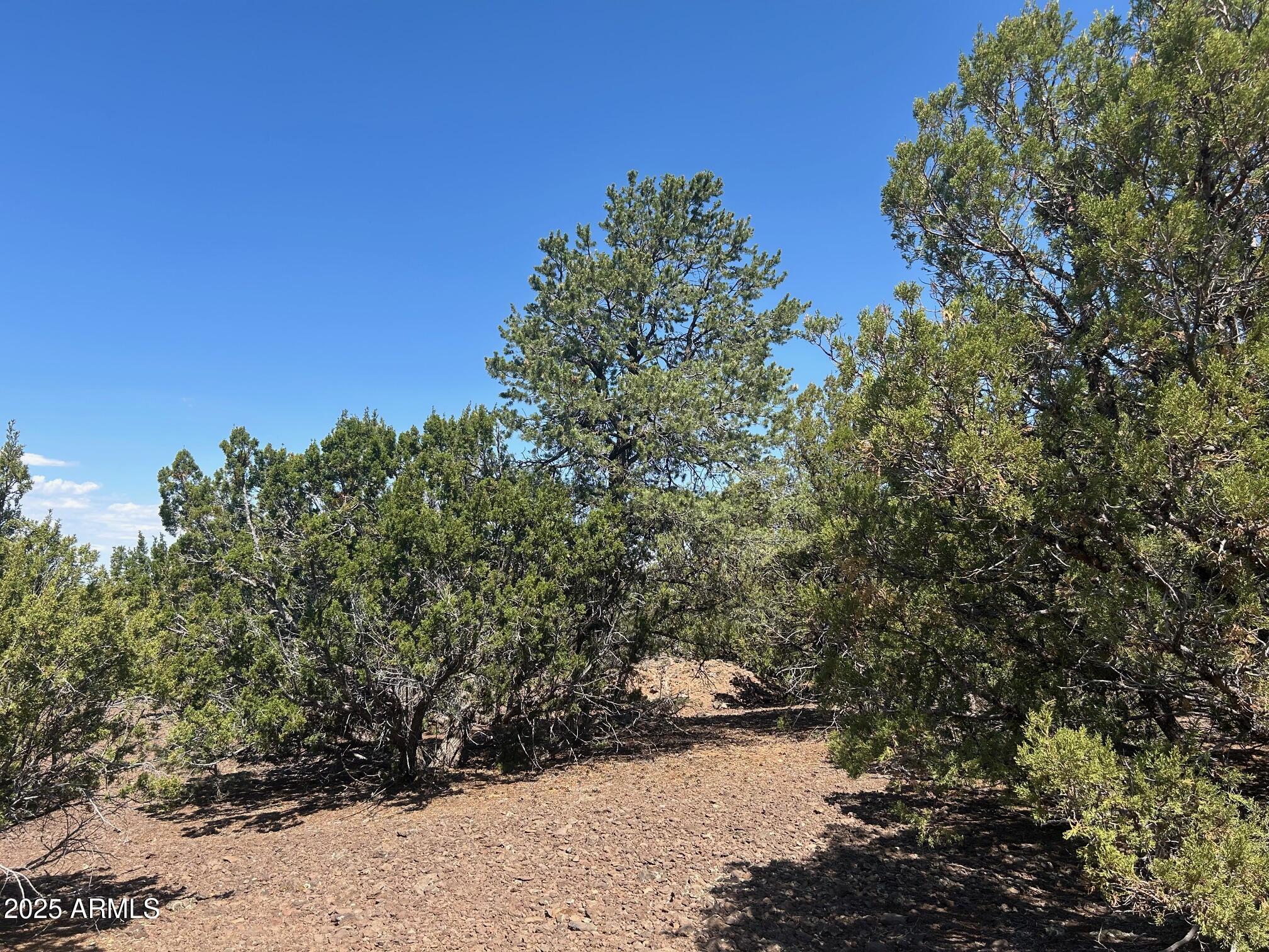 MOUNTAIN PINE RANCH UNIT 1 - Land