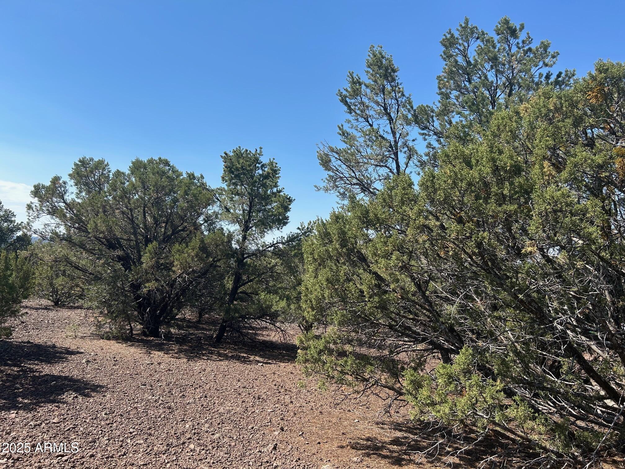 MOUNTAIN PINE RANCH UNIT 1 - Land