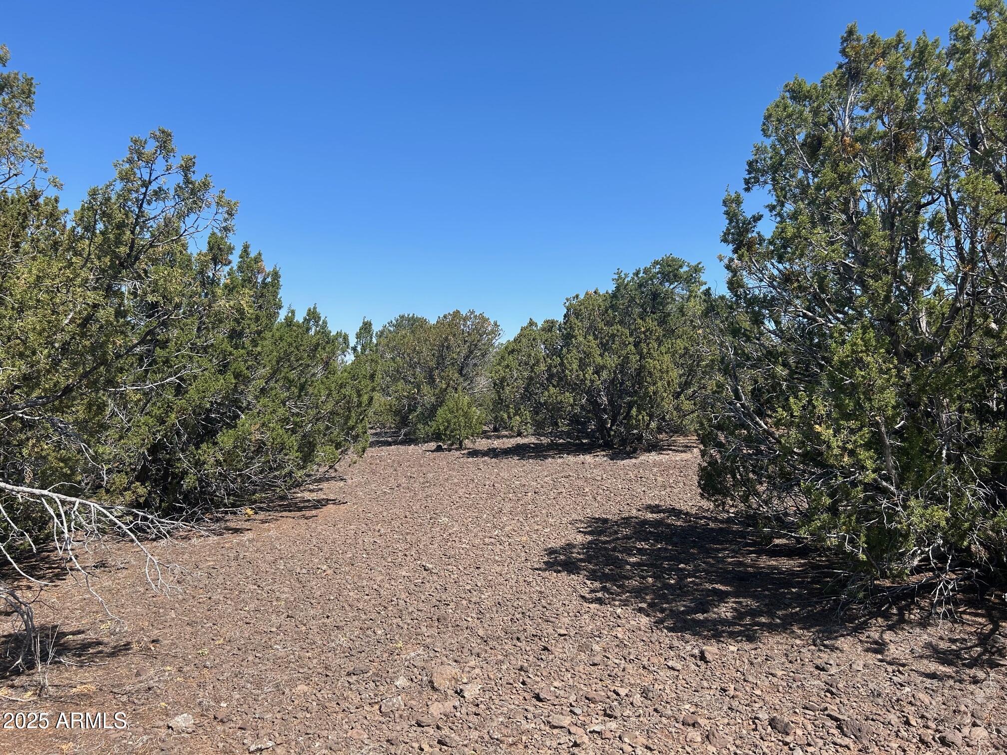 MOUNTAIN PINE RANCH UNIT 1 - Land