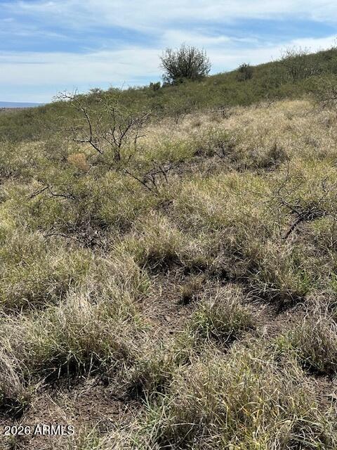 BENSCH RANCH UNIT 1 - Land