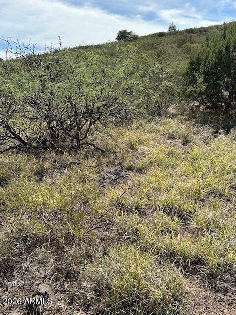 BENSCH RANCH UNIT 1 - Land